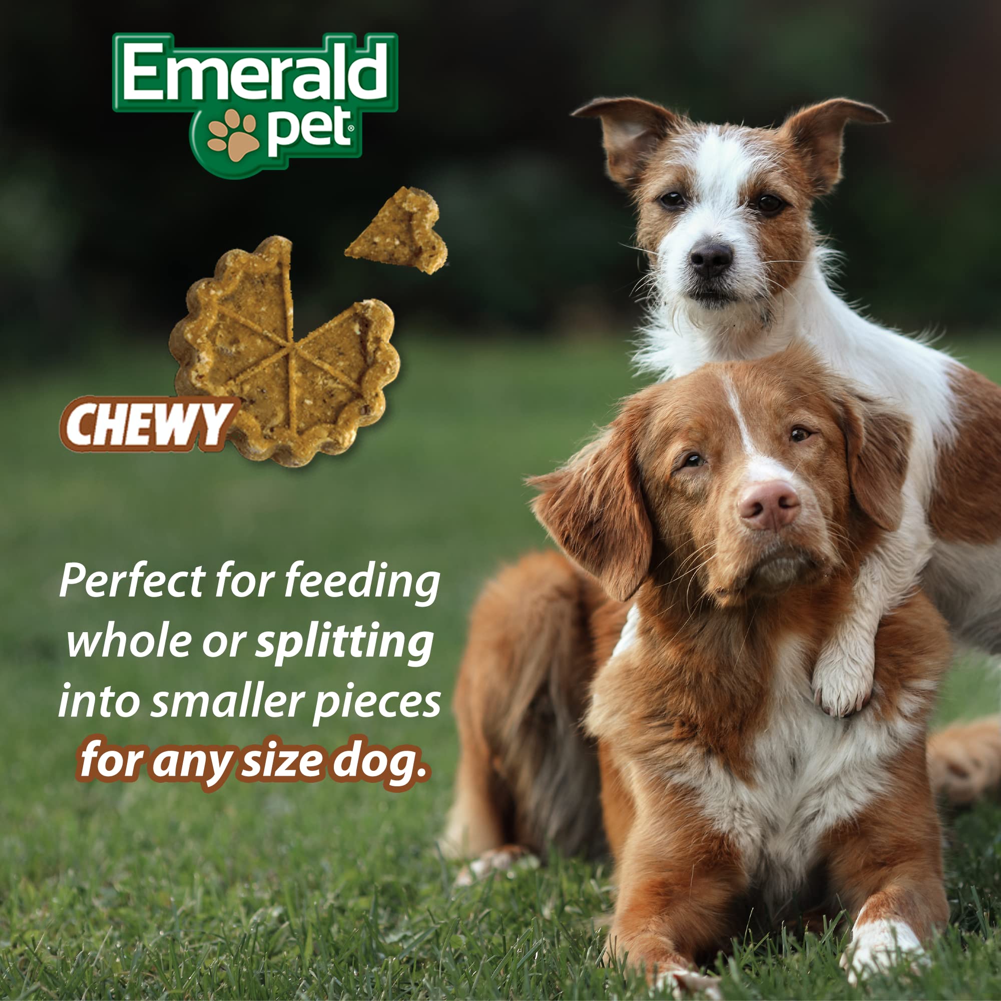 Emerald Pet Quiche Royal Ham and Cheese Treat for Dogs