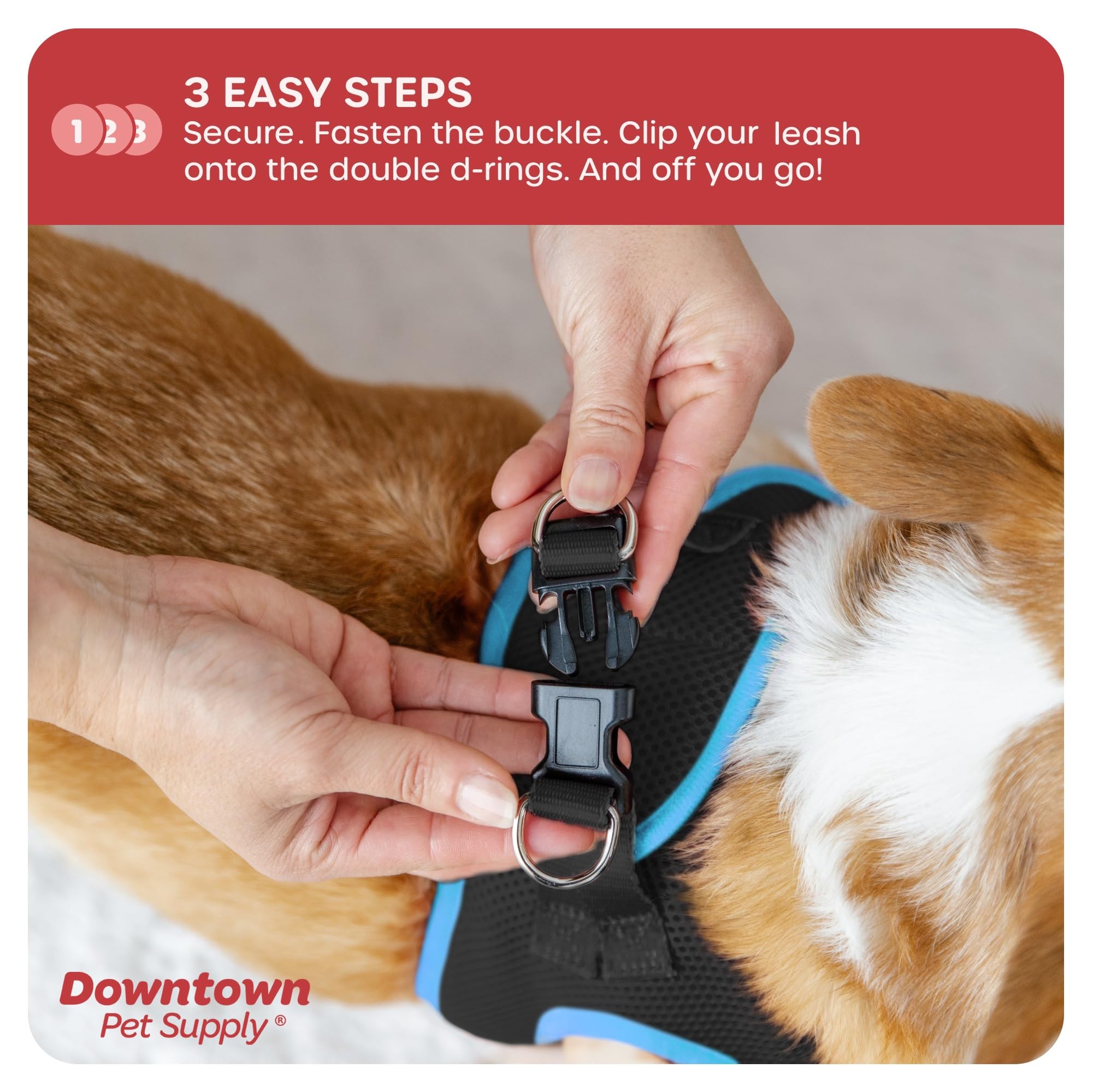 Downtown Pet Supply Step In Dog Harness No Pull, X-Large, Black W/Cobalt Blue Trim - Adjustable Harness With Padded Mesh Fabric