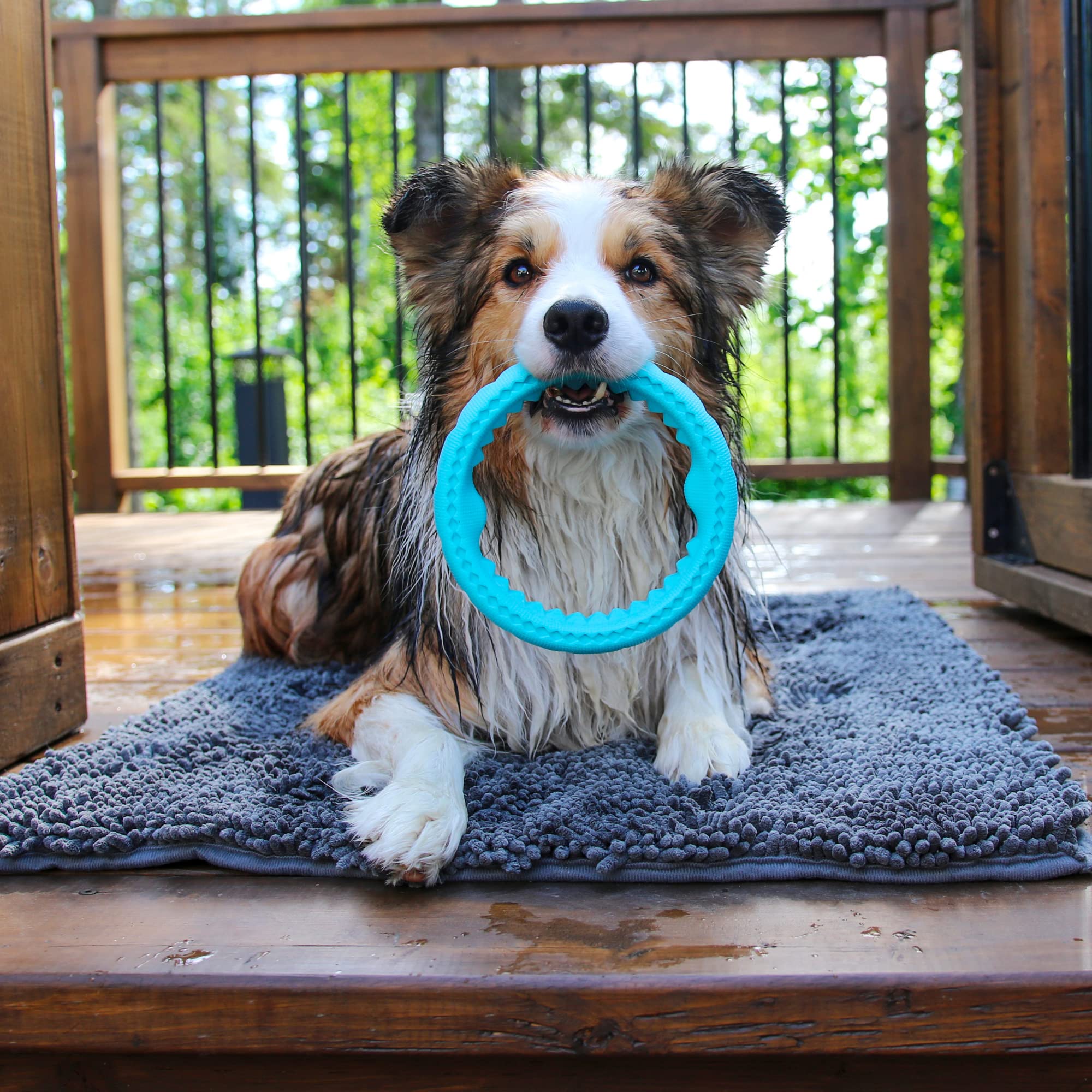 Messy Mutts Totally Pooched Chew N' Tug Ring | Durable Tpr Dog Toy | Made For Tough Chewers | Tough Fetch Ring For Dogs | 6.5?| Teal