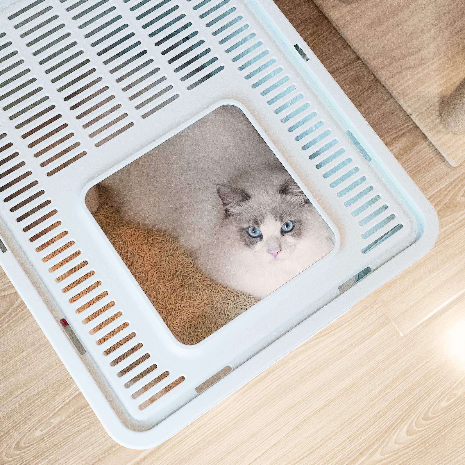 Petphabet Cat Litter Box, Square Foldable Jumbo Hooded Cat Litter Box With Plastic Scoop (Blue)