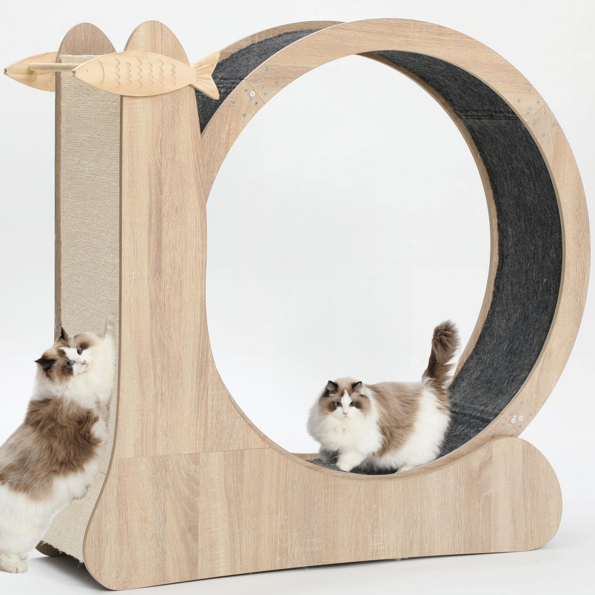 Cat Wheel,4-In-1 Cat Exercise Wheels For Indoor Cats,41.3   H Large Quiet Treadmill Running Wheels For Indoor Cats,Cute Cat Furn