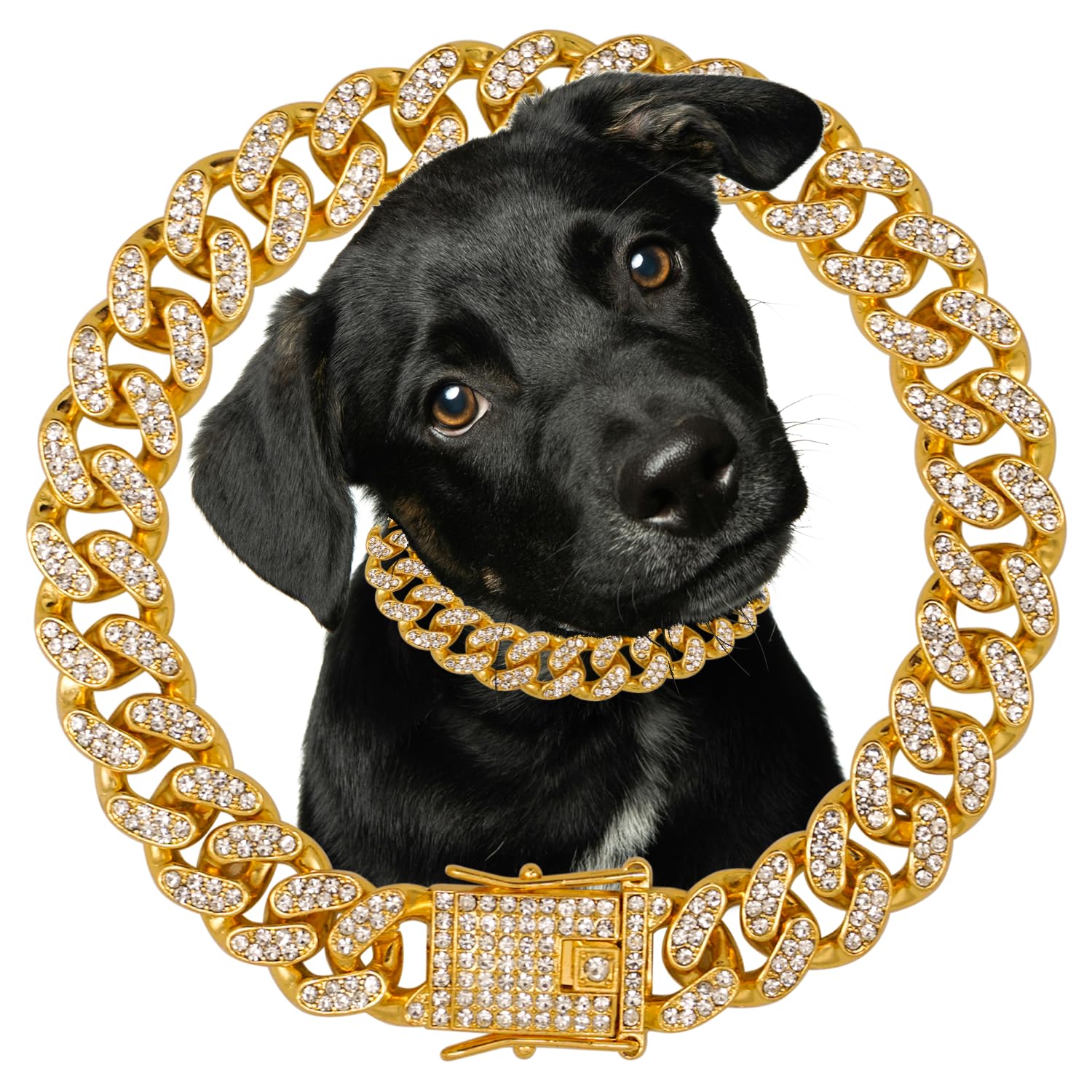 Dog Chain Diamond Collar 18K Gold Plated Walking Metal Chain 12 Mm Wide Necklace With Secure Buckle Pet Cuban Style Collar Jewel
