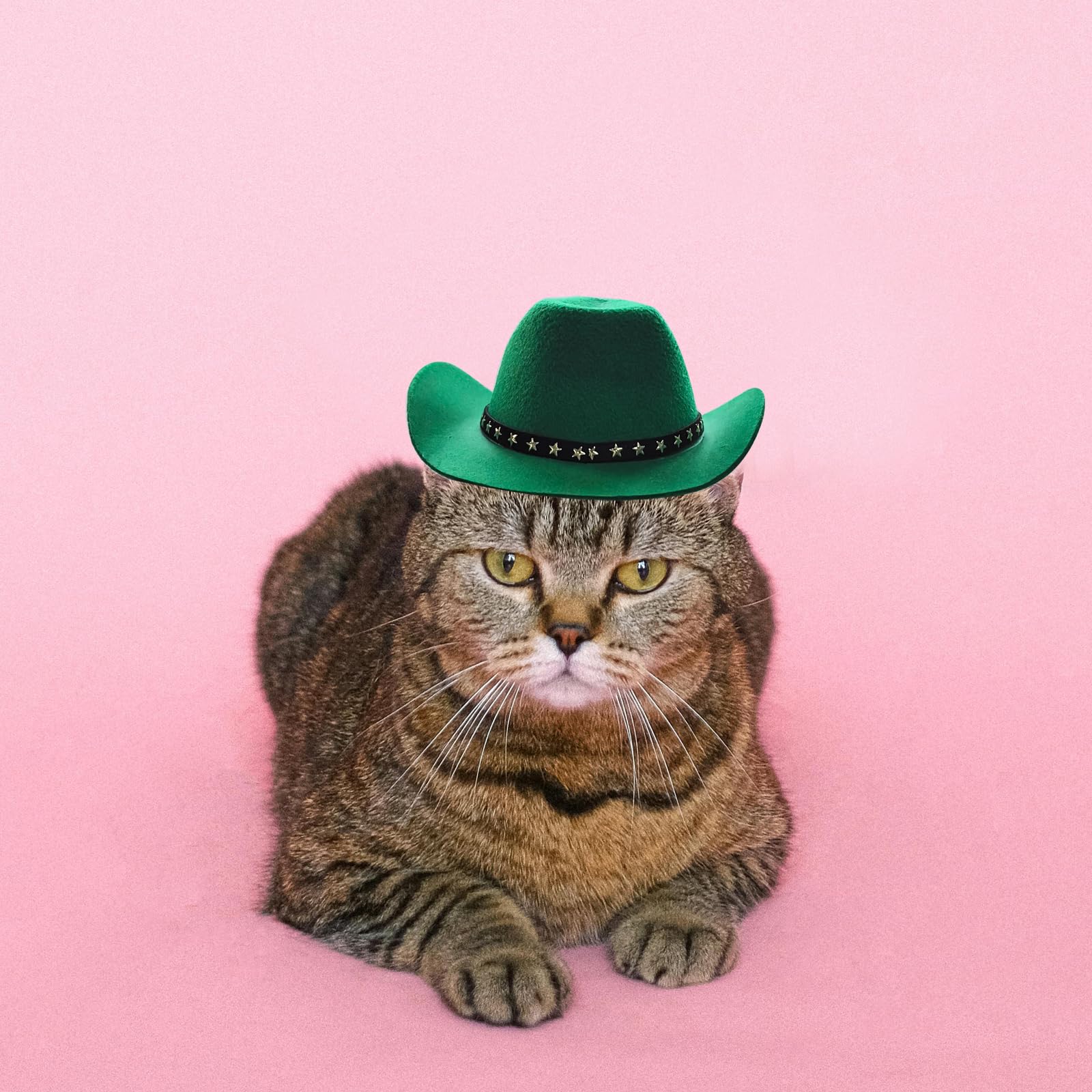 Awocan Pet Dog Costume Cowboy Hat Cosplay Cap Puppy Pet Dog Cat Holiday Pet Party Decoration (Green)
