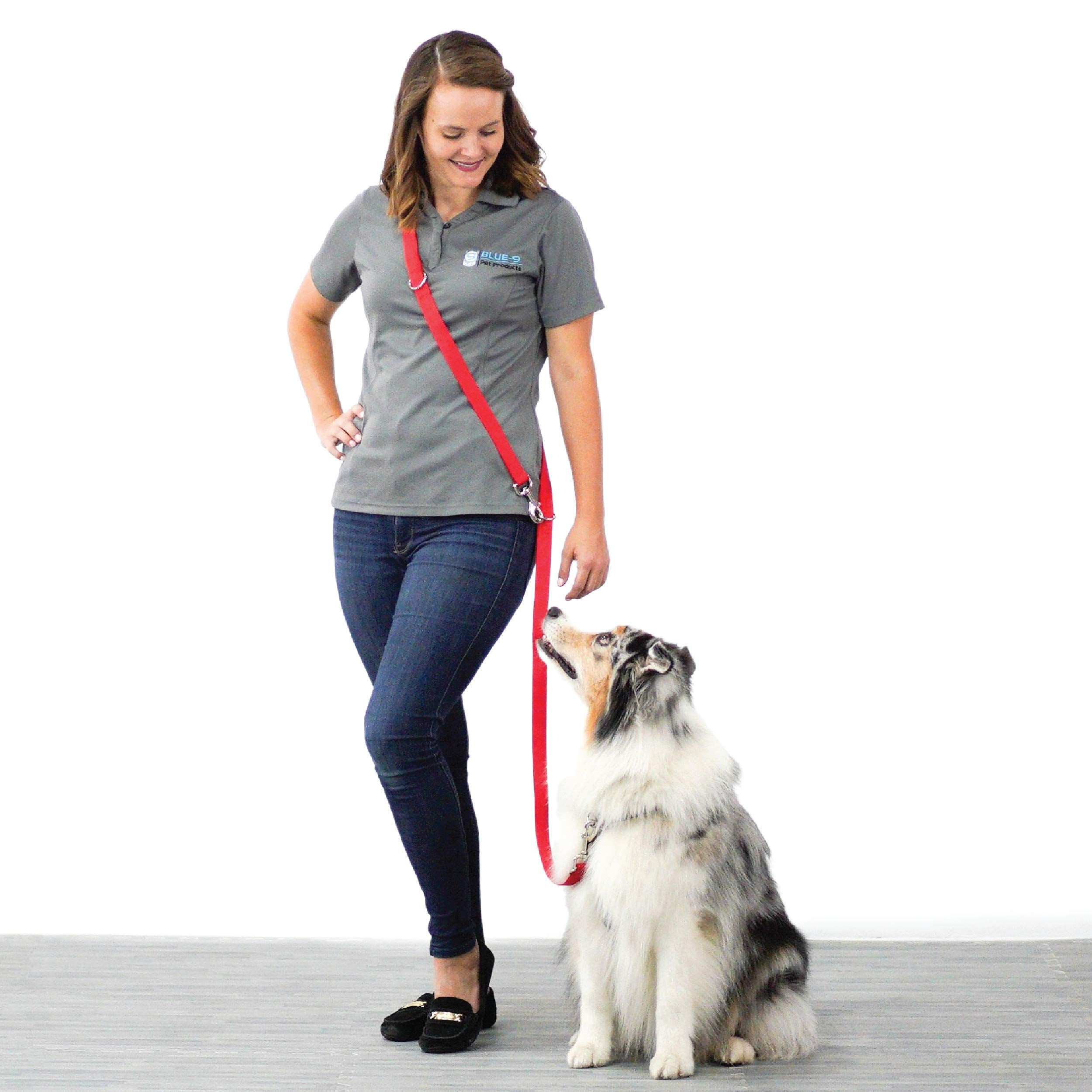 Blue-9 Multi-Function Hands Free Dog Leash, Double Attachment 6 Foot Adjustable Lead For Obedience, Running, And Agility Training (Blue, Medium Large)