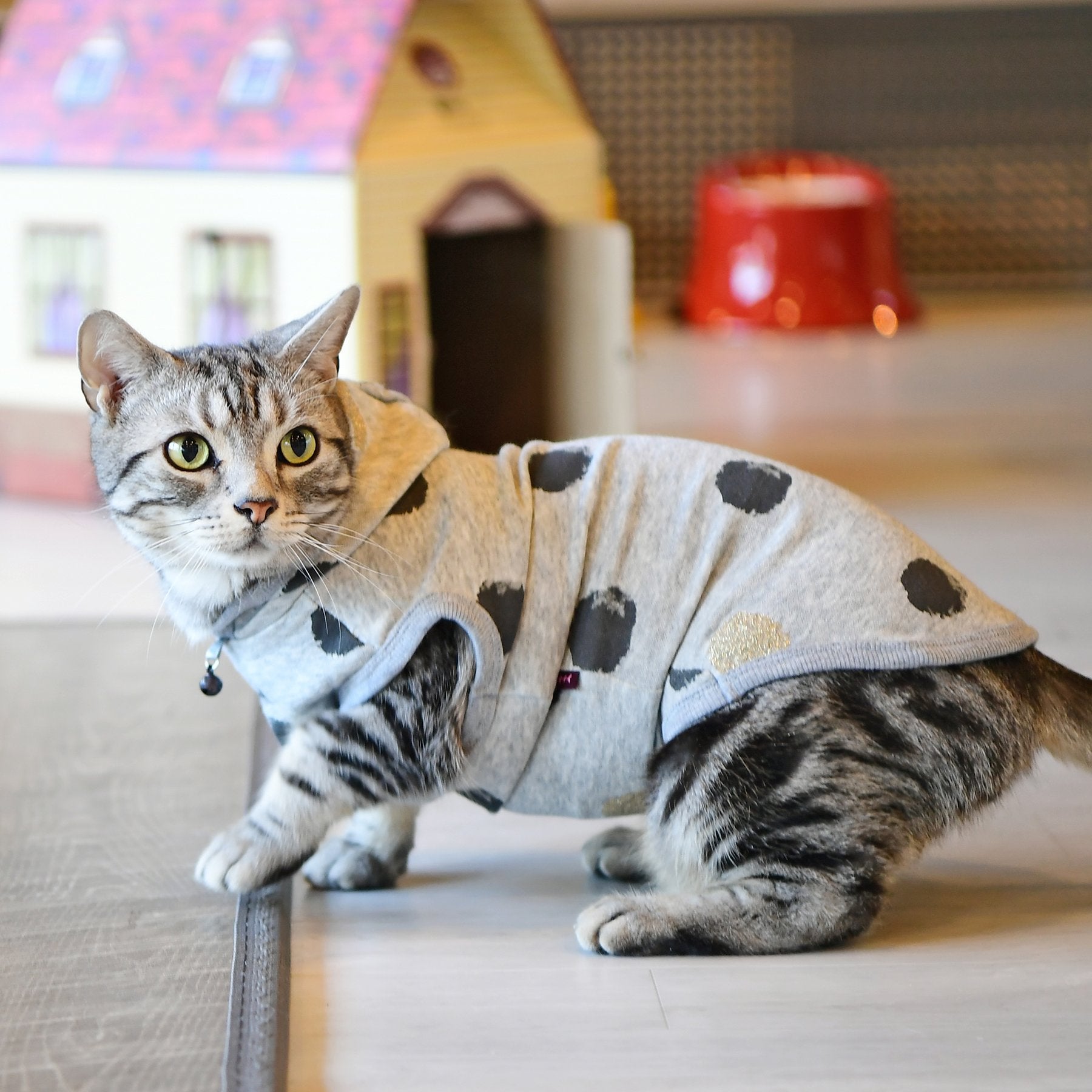 Catspia Casa-Ts9403-Mg-L Loki Pet Shirt, Large