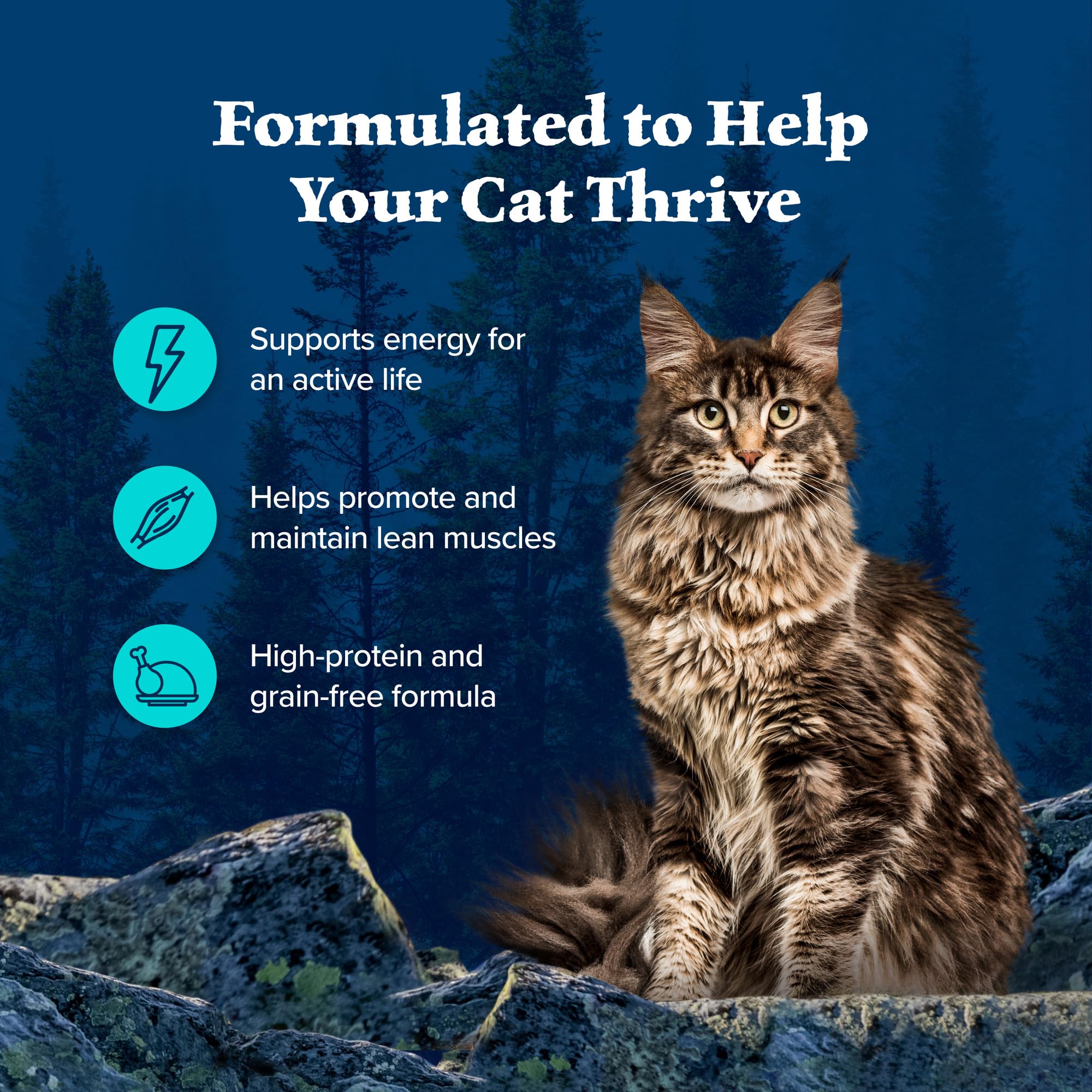 Blue Buffalo Wilderness Wild Delights Meaty Morsels Wet Cat Food, High-Protein & Grain-Free, Made with Natural Ingredients, Chic