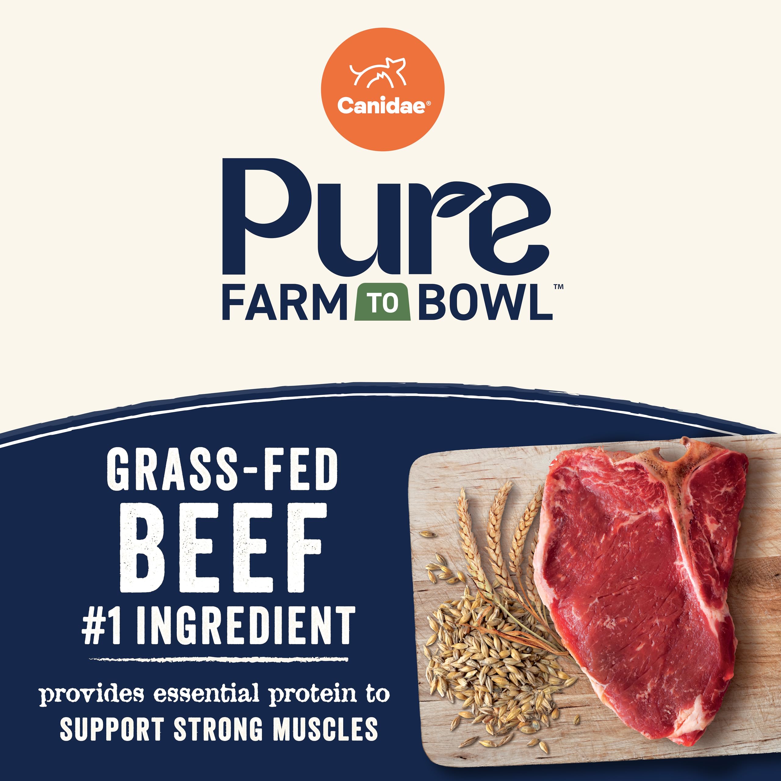 CANIDAE Pure Limited Ingredient Premium Adult Dry Dog Food, Real Beef & Barley Recipe, 22 lbs, with Wholesome Grains
