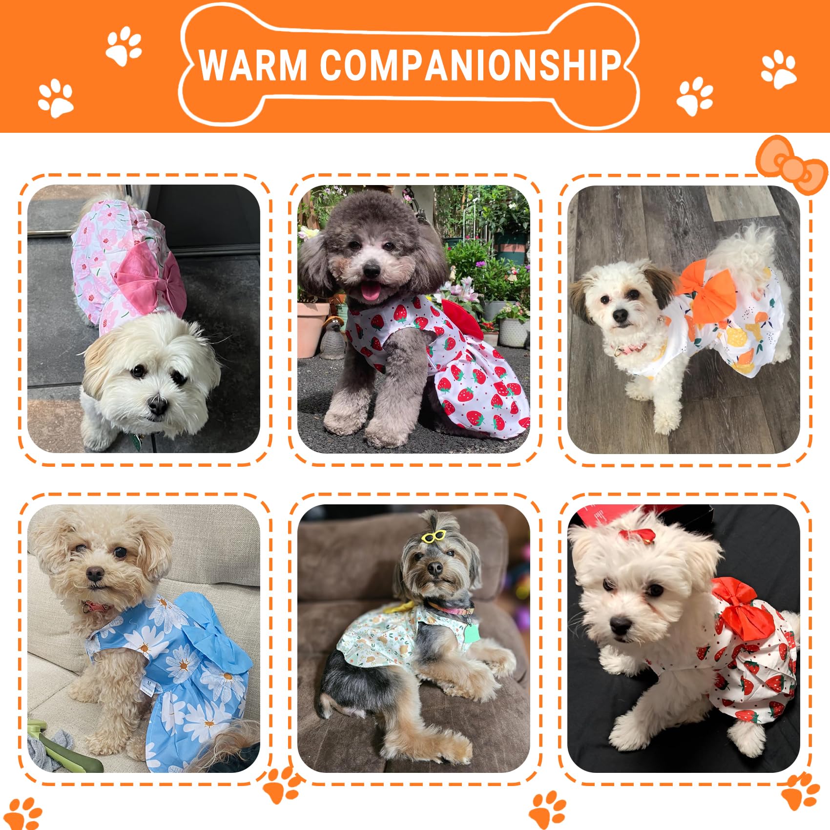 Tapbull Dog Dresses, Fashionable Pet Dog Clothes, Cute Cat Birthday Dress Outfit (Orange/Red/Yellow/Blue/Pink 5-Pack), Medium