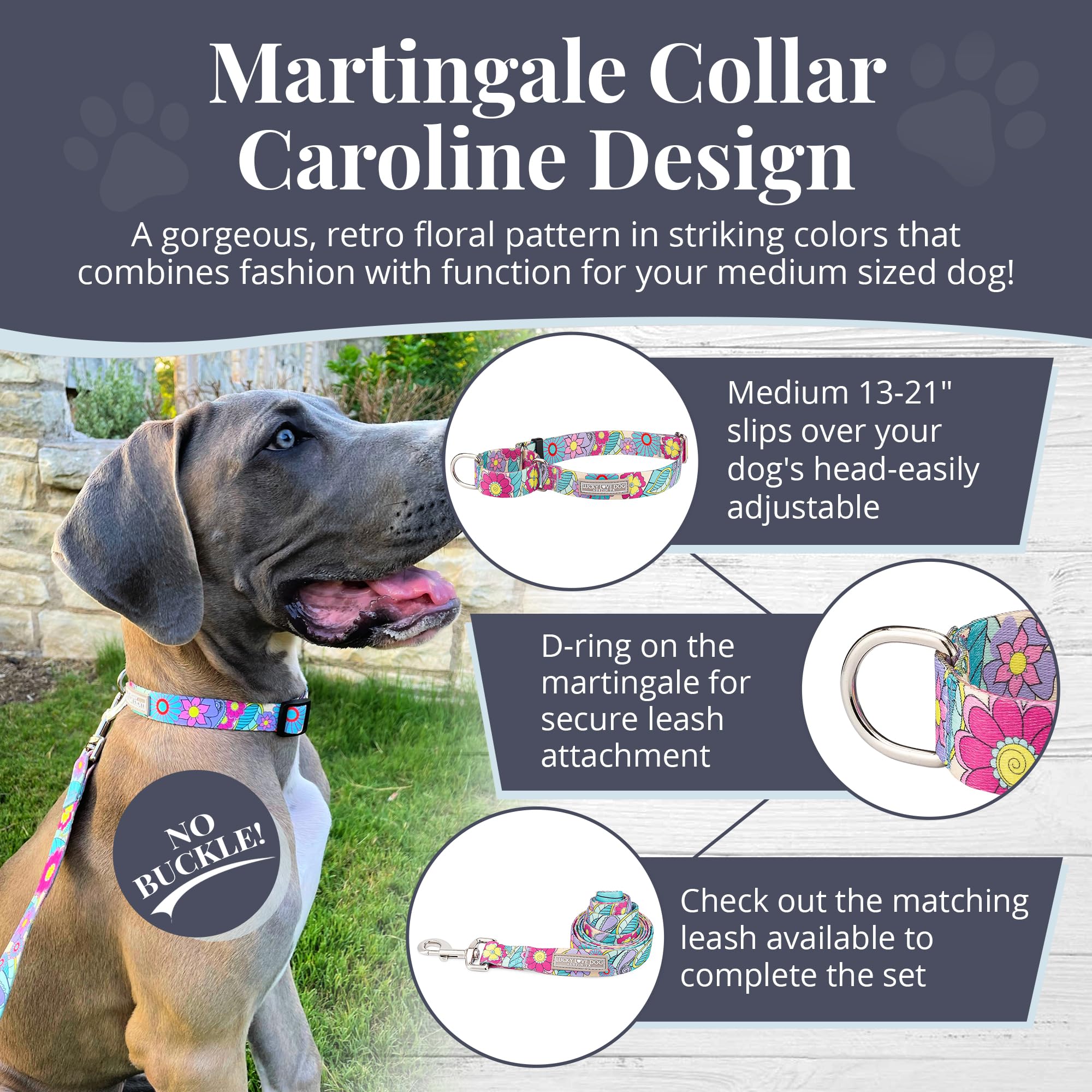 Lucky Love Dog Martingale Collar, Premium No Slip Martingale Collar For Medium Dogs, Great For Whippets, Greyhounds, And More (C
