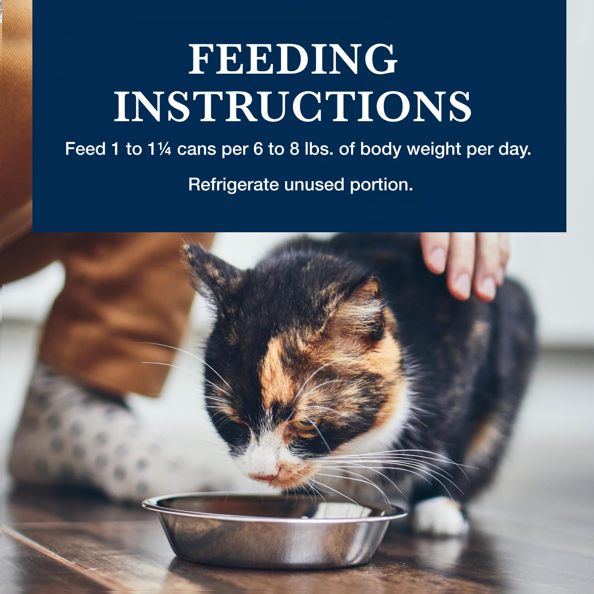 Blue Buffalo Natural Veterinary Diet HF Hydrolyzed for Food Intolerance Wet Cat Food, Veterinarians Prescription Required, Salm