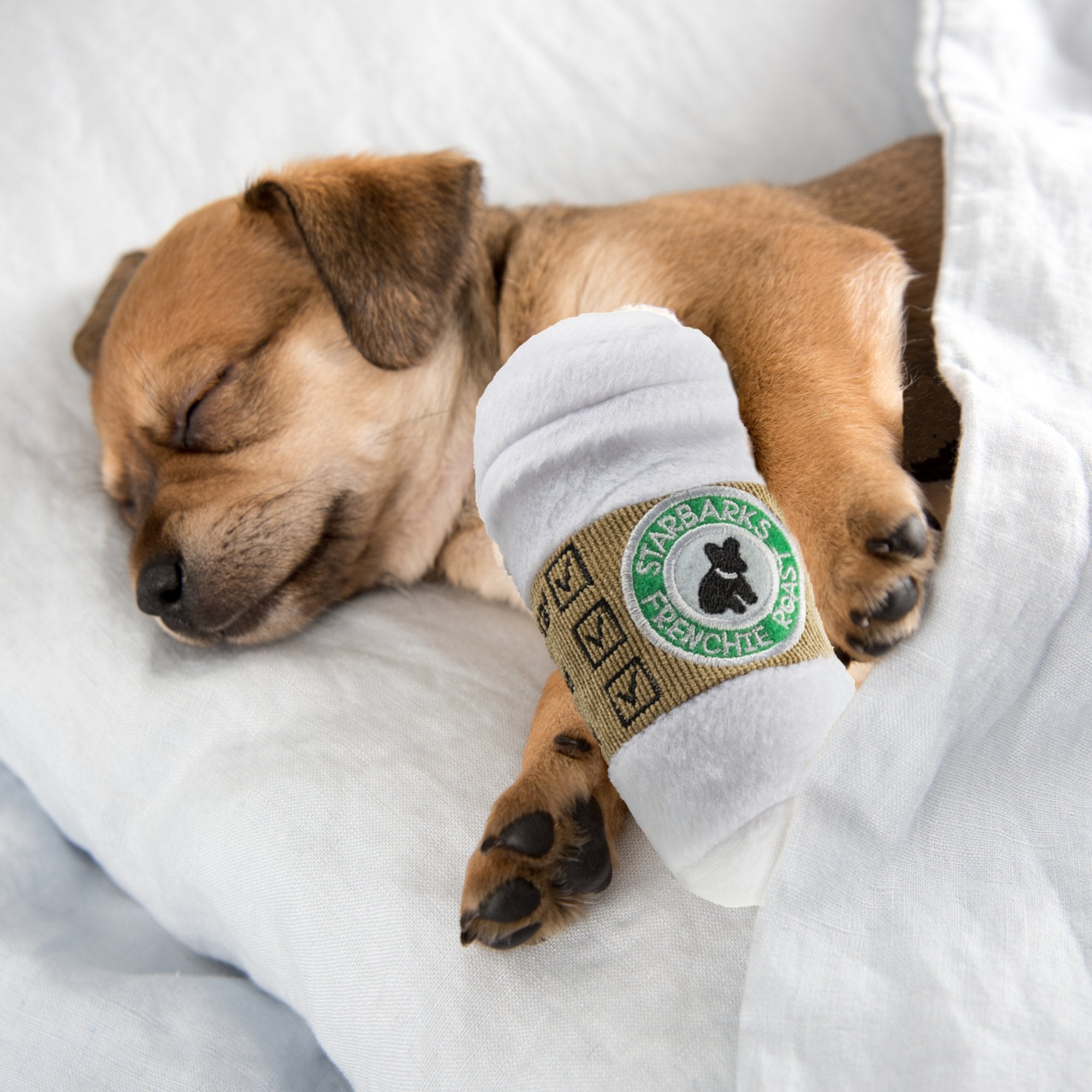 Haute Diggity Dog Starbarks Collection - Soft Plush Coffee Dog Toys With Squeaker And Fun, Colorful, Unique Parody Designs Made From Safe, Machine-Washable Materials For All Dog Breeds & Sizes