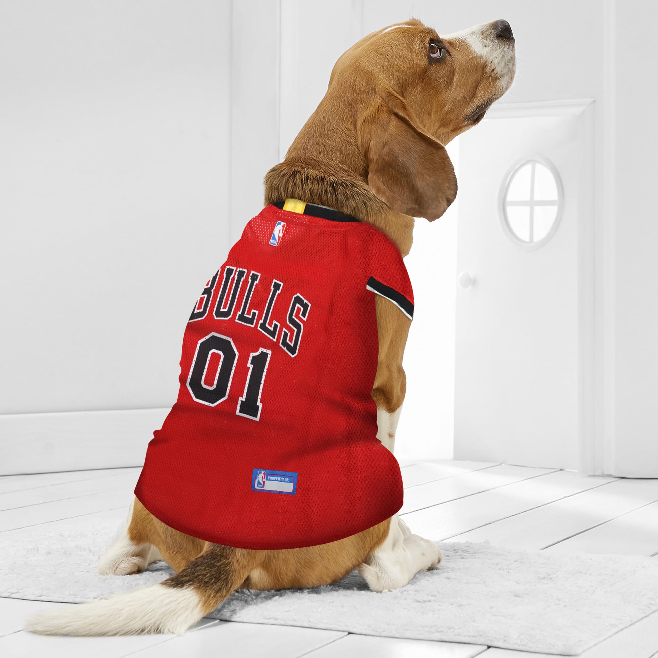 Pets First Jersey, Large - Tank Top Basketball Pet Jersey