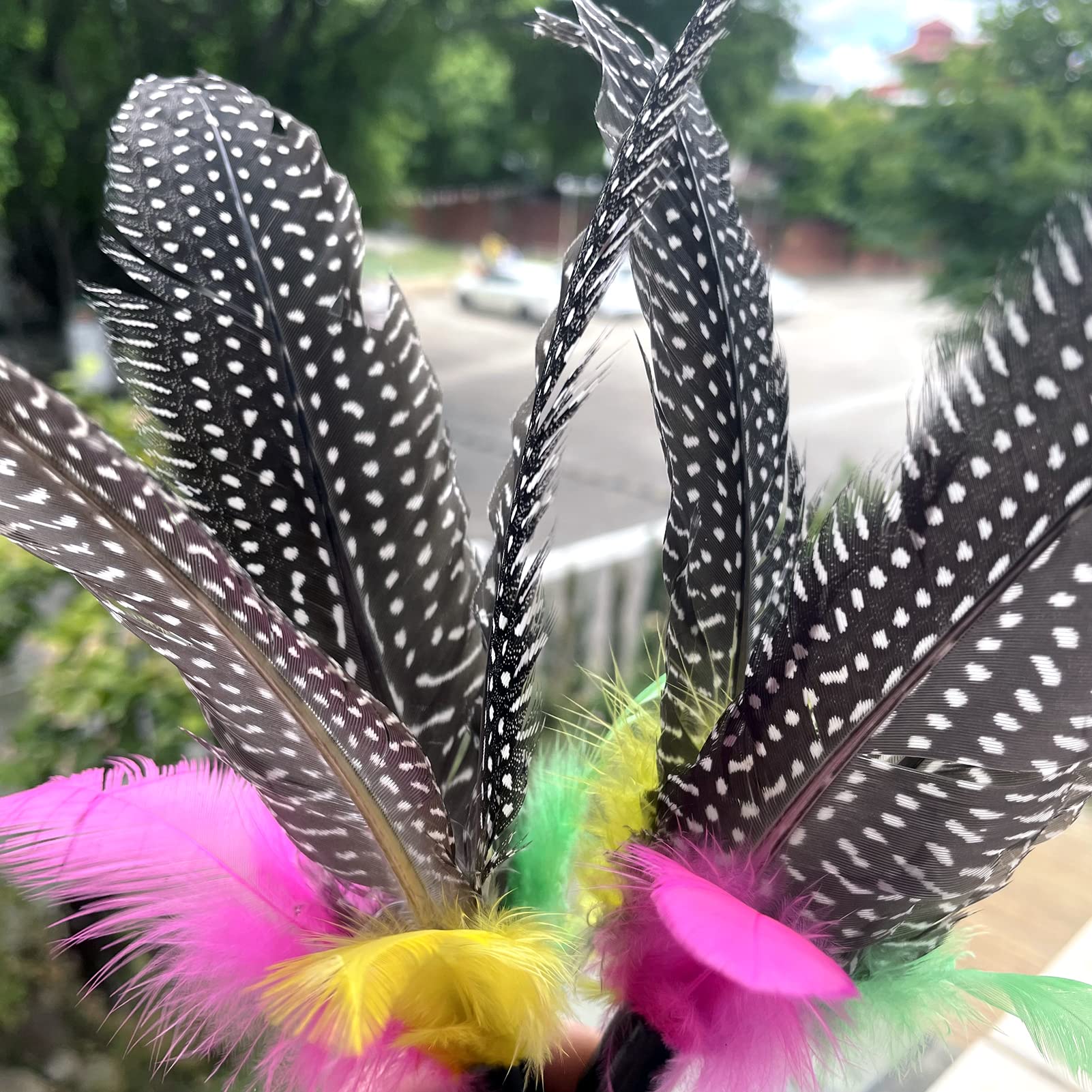 AcceLeah Cat Toy Replacement Feathers Cat Toy Wand Refills, Natural Bird Feathers Refill, Cat Feather Toy Replacement for Cat Wa