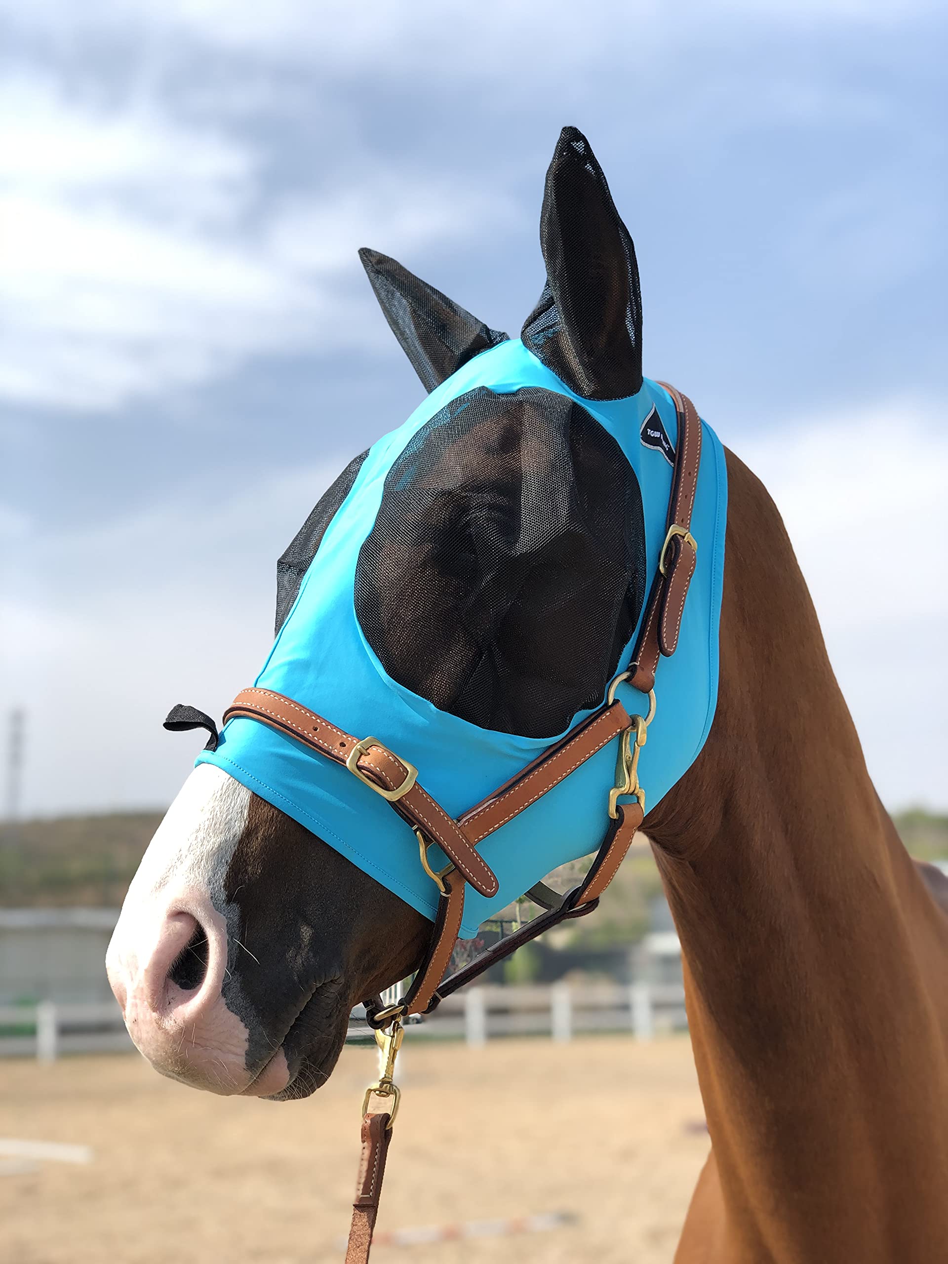Horse Fly Mask Super Comfort Horse Fly Mask Elasticity Fly Mask with Ears We Only Make Products That Horses Like (Pacific Blue,