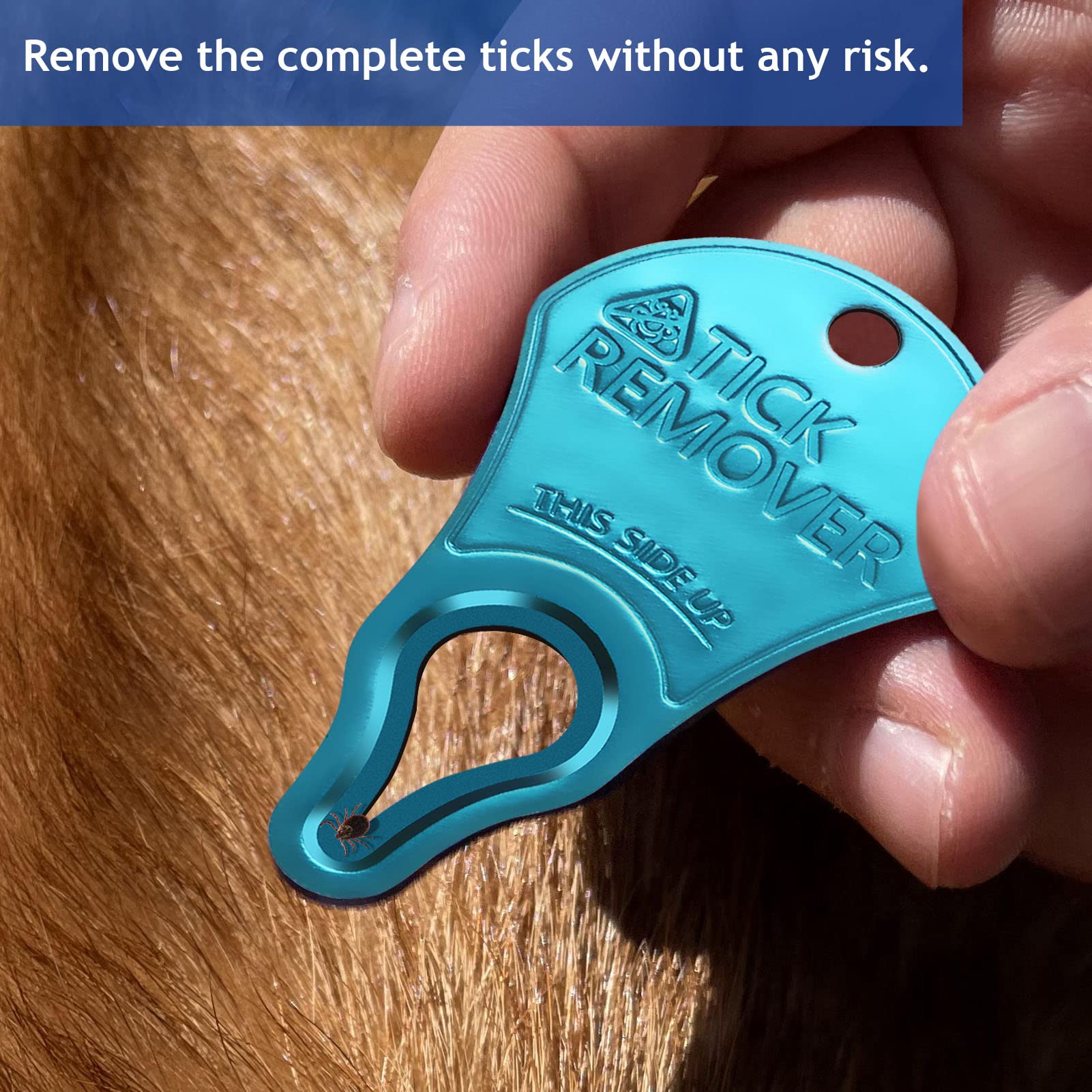 Jotovo 3 Pack Tick Remover Tool Portable, Tick Removal For Pet And Humans, Safe And Reliable, Pain-Free, Essential Tools For Outdoor Activities