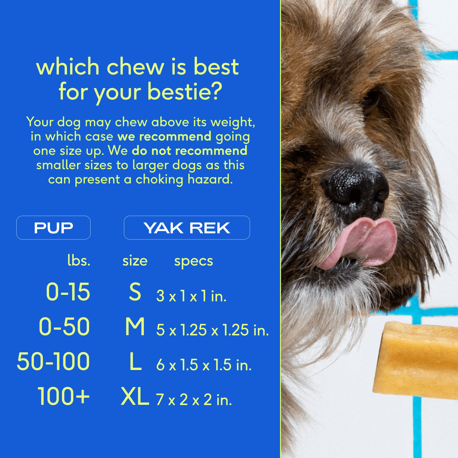 Native Pet Yak Cheese Himalayan Dog Chews - Long Lasting Dental Sticks for Medium Breeds - 100% All Natural Himalayan Yak Chews