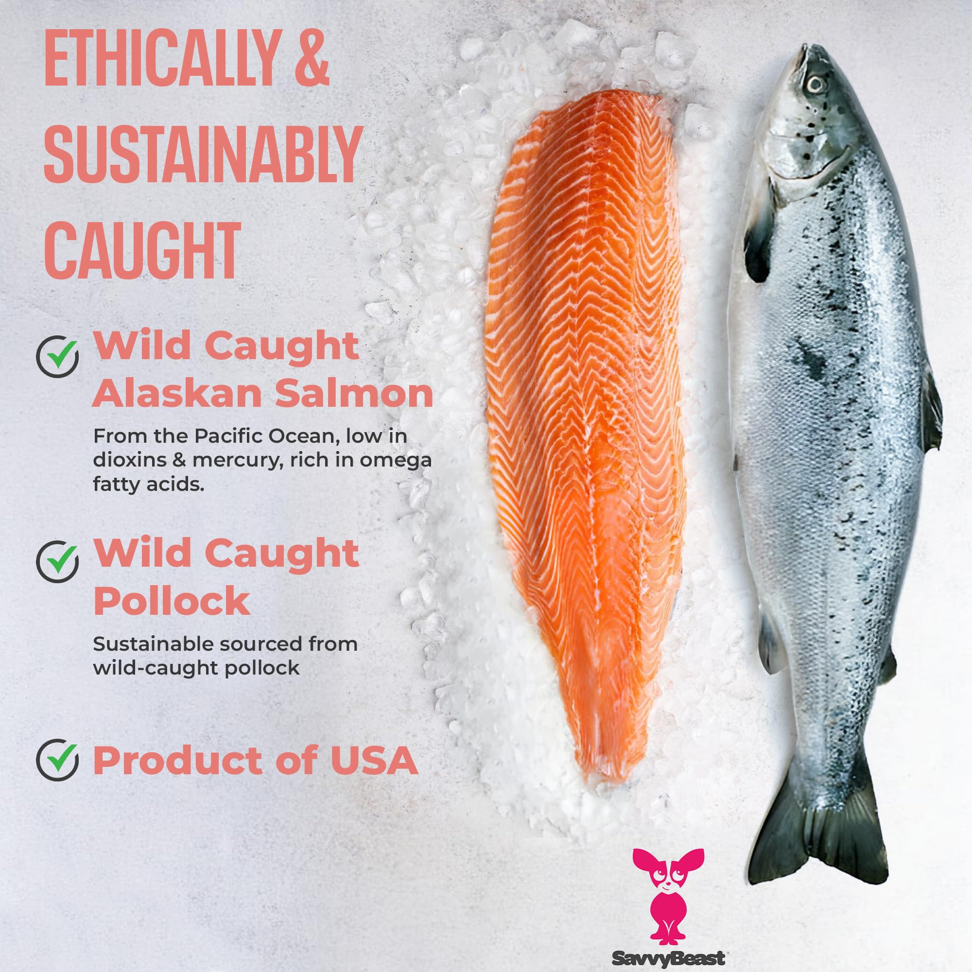 SavvyBeast Pollock and Salmon Oil for Dogs & Cats - Omega-3 Fish Oil Supplement for Pets - Supports Skin & Coat, Joints, Itch Re