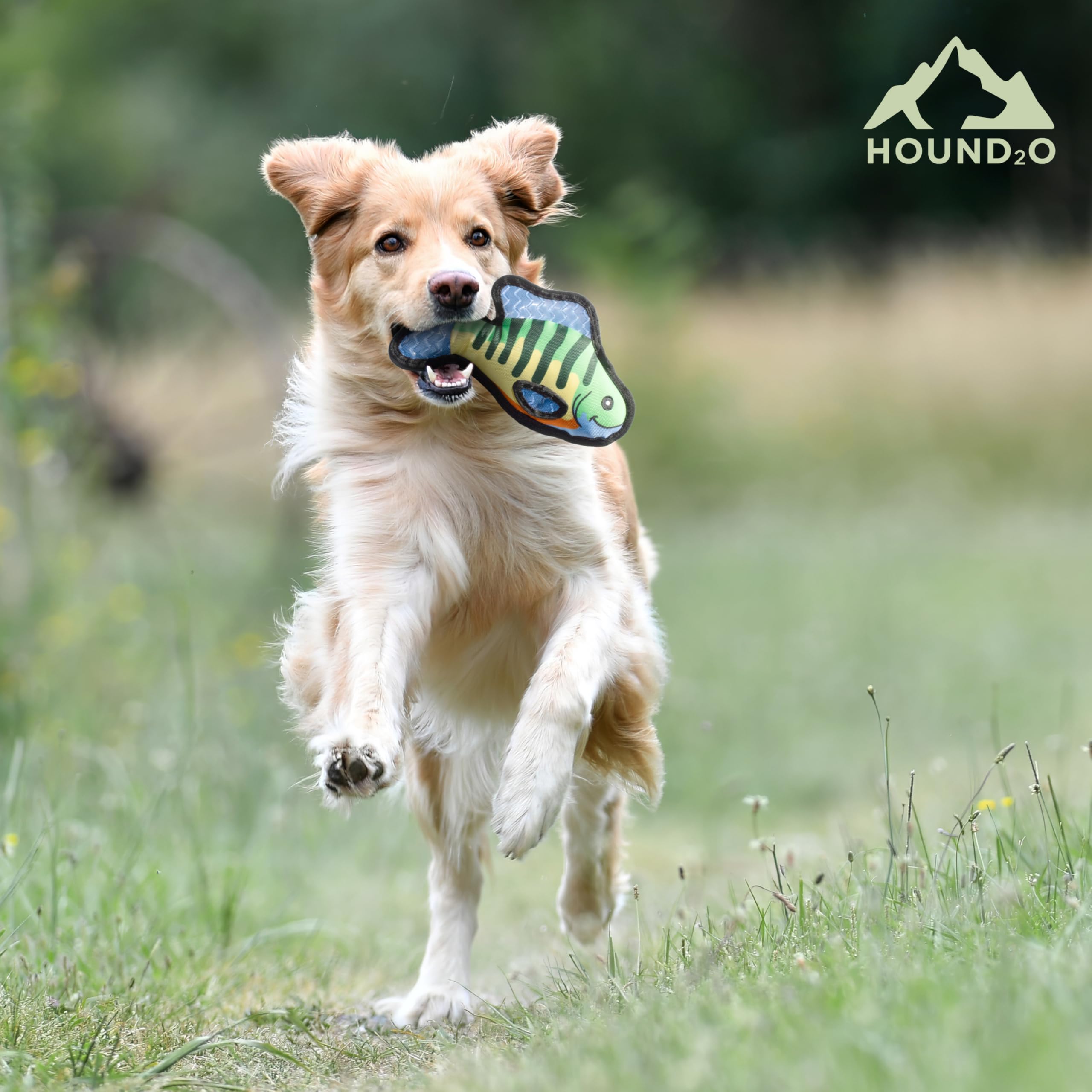 Hound2O Durable Plush Outdoor Toys For Dogs | Squeaky Plush Bluegill Fish | Fun Fishing Themed Dog Toy With Playful Squeaker