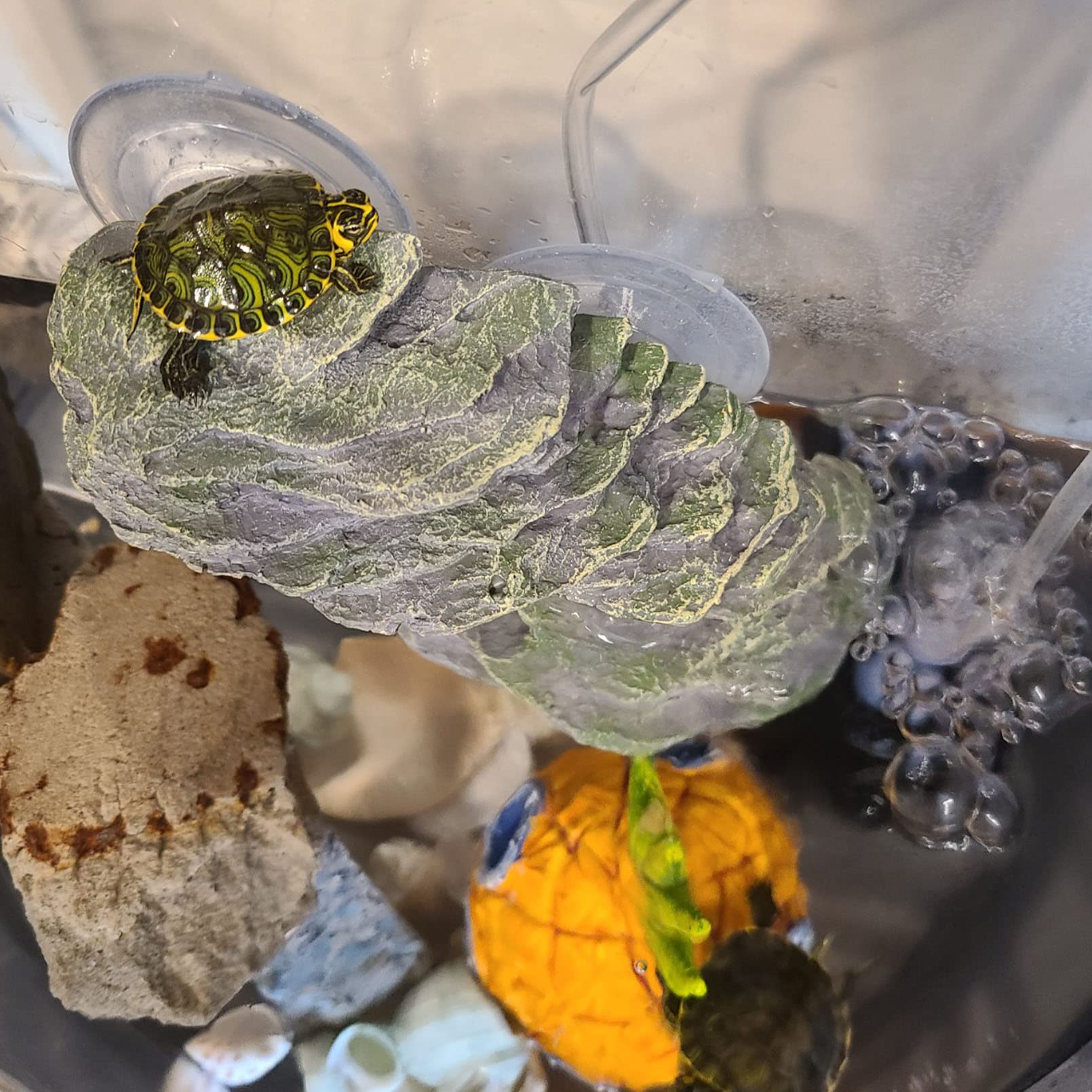 kathson Turtle Basking Platform with Suction Cup Tortoise Climbing Rest Terrace Resin Step Decoration Reptile Habitat Rock Decor