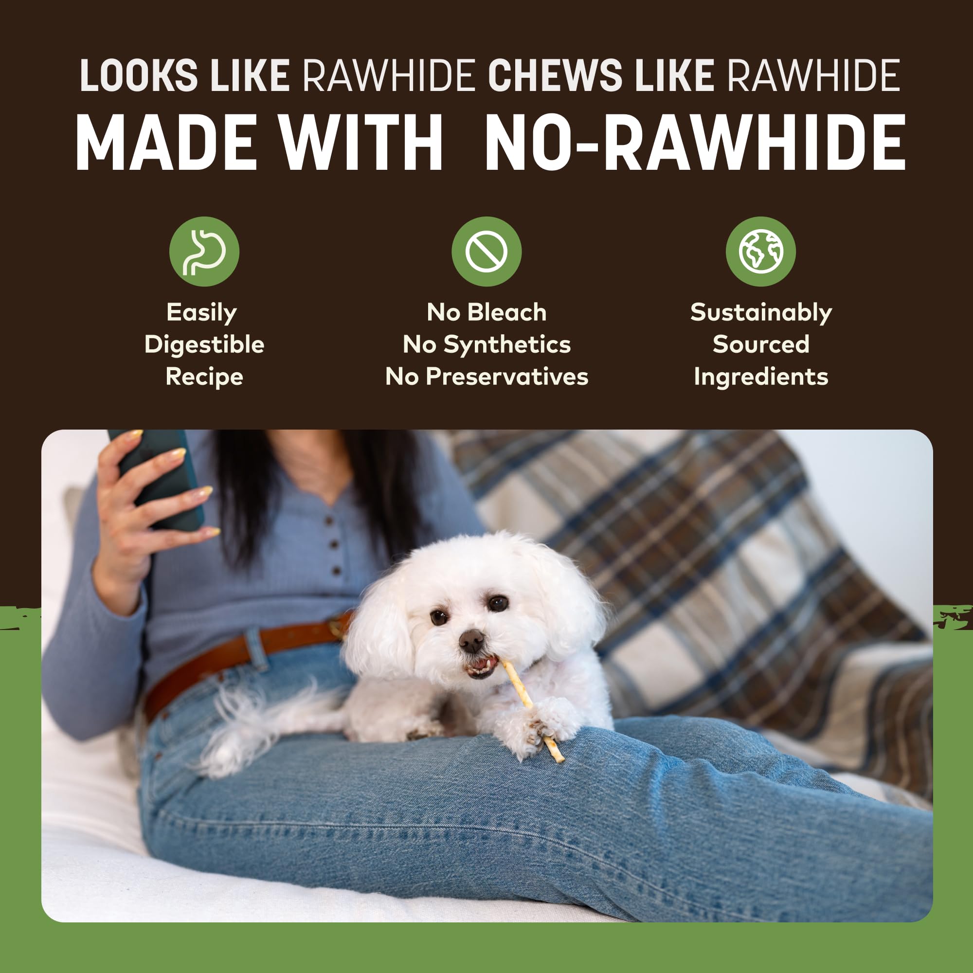 Earth Animal No Hide Stix - Long Lasting Rawhide Free Small Dog Chews Sticks, Pork - 20 Count Value Pack