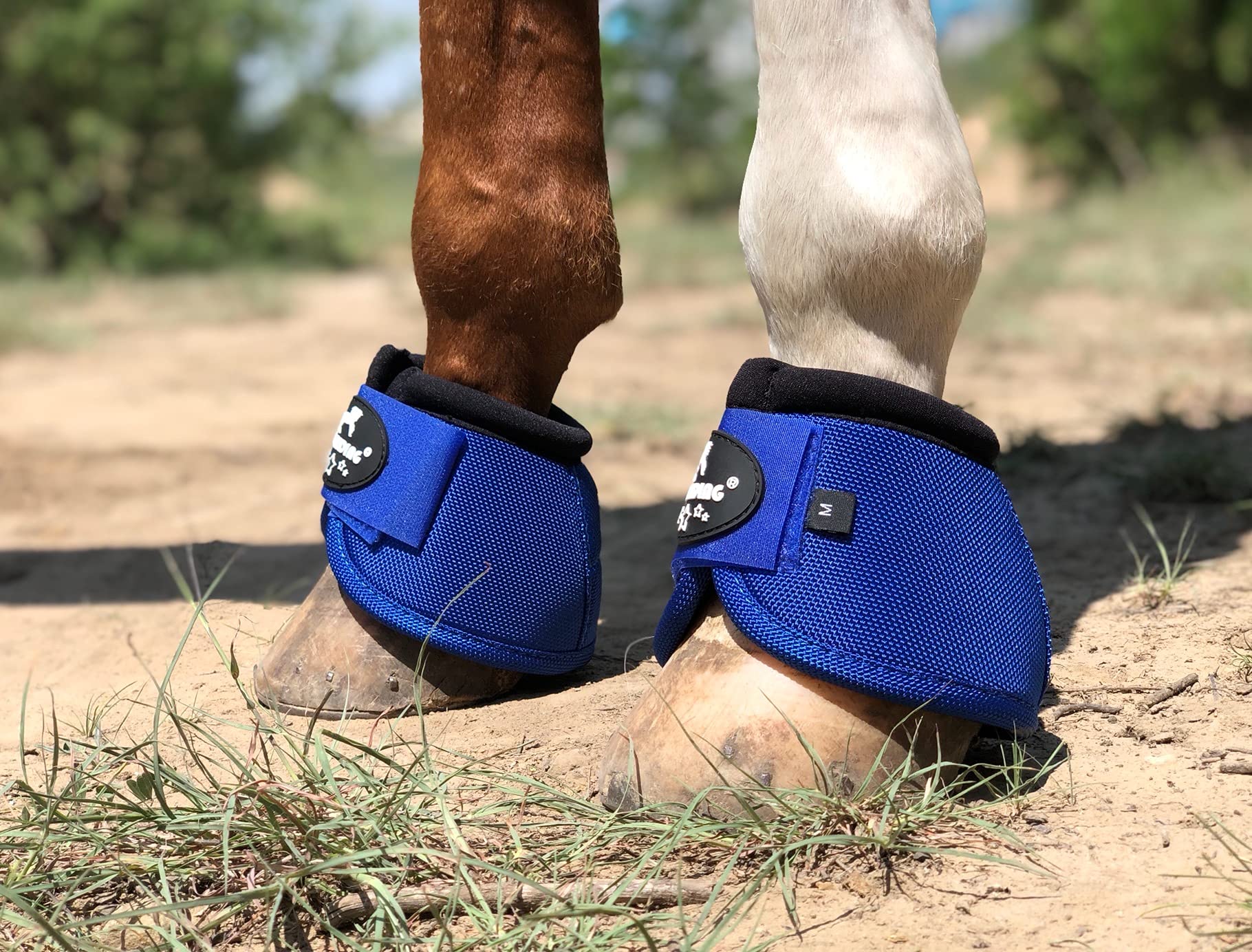 Tgw Riding 2520D Horse Bell Boots No-Turn Horse Bell Boots, Equine Ballistic Hoof Overreach Bell Boot, Pair (Royal Blue, S)