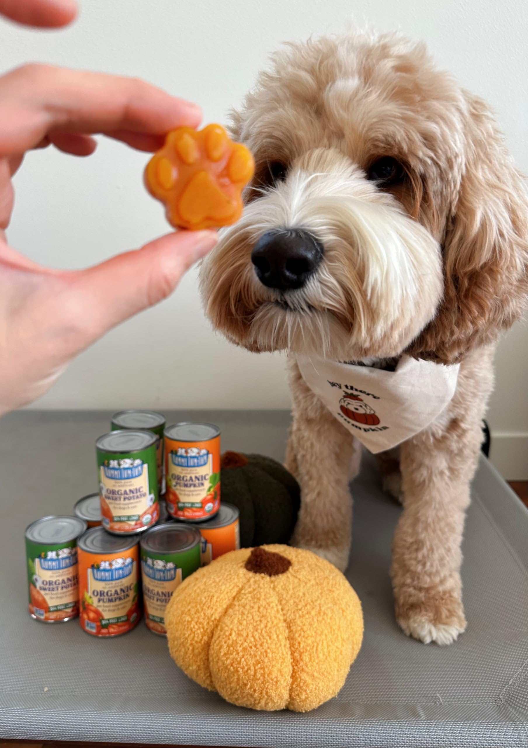 Nummy Tum Tum Pure Sweet Potato For Pets, 15-Ounce Cans (Pack Of 12)