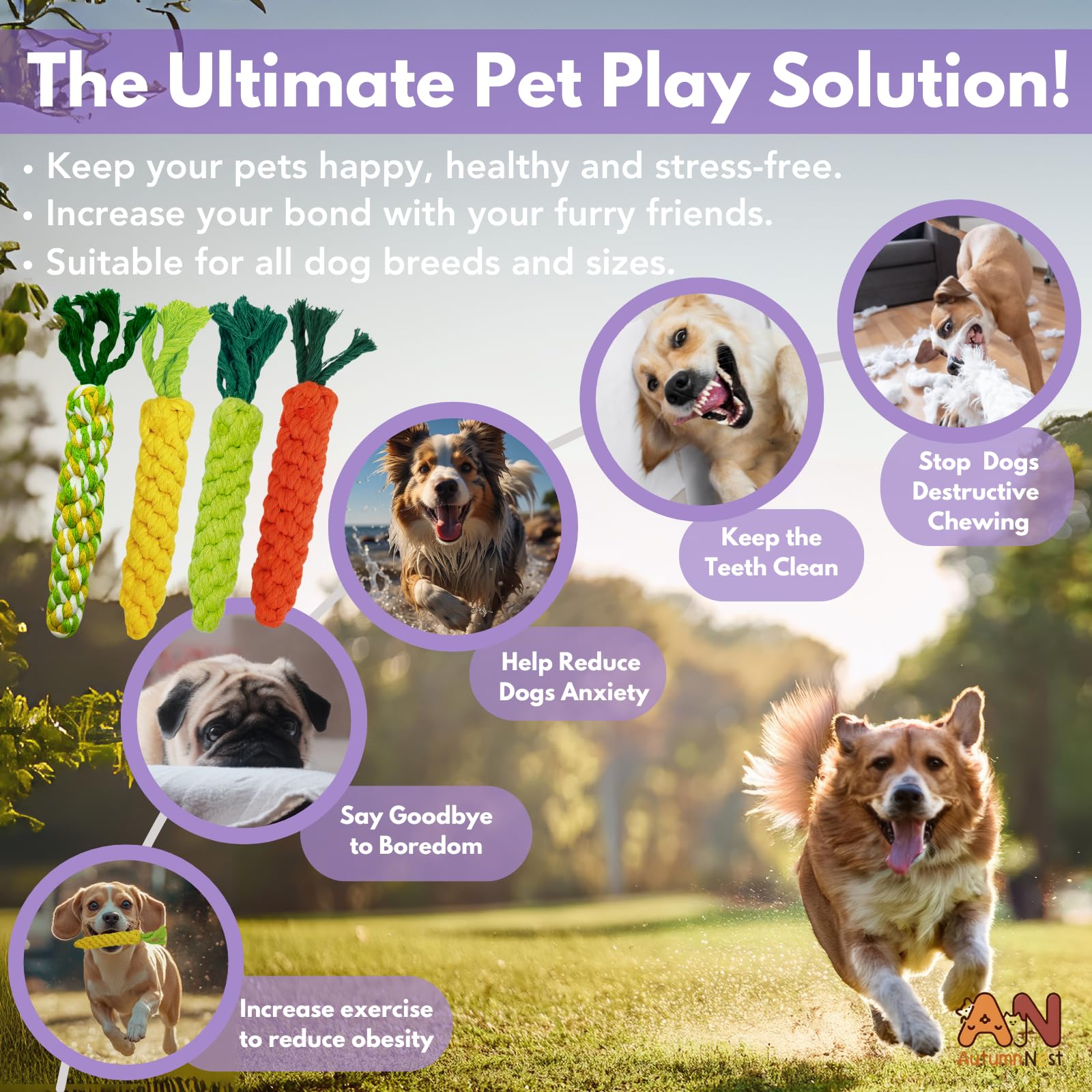 Autumnnest 4Pcs Mixed Color Woven Pet Chew Set (Yellow, Green, Orange, Rainbow), Dog Chew Toys, Cat Teething Toys, Durable & Saf