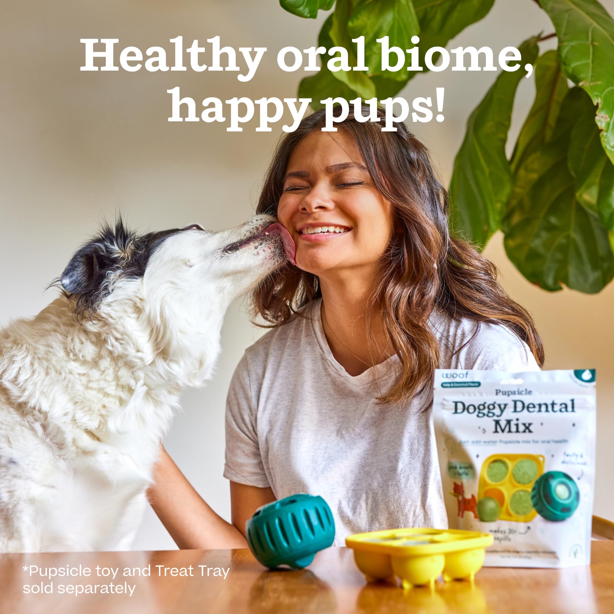 Woof Doggy Dental Pupsicle Mix - Dog Teeth Cleaning Powder for The Pupsicle - Long Lasting Postbiotic Dental Enzyme Mix to Suppo