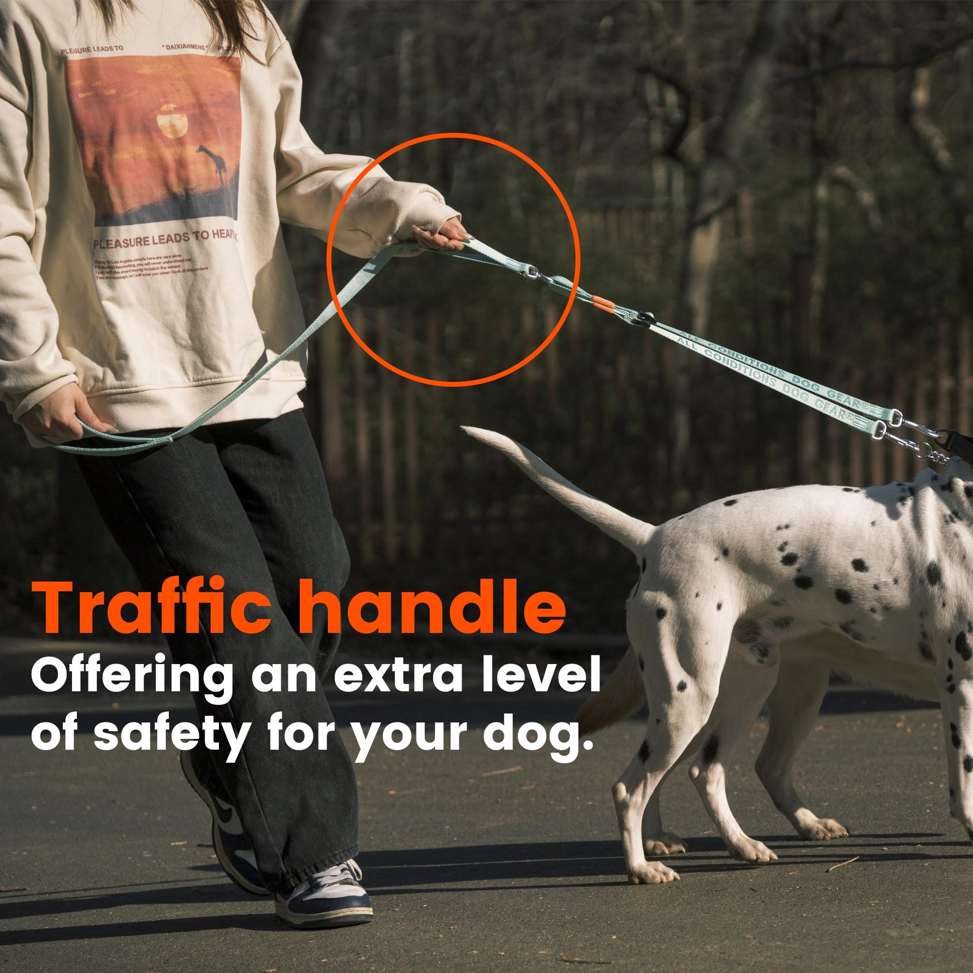 Howgo Double Dog Leash, No Tangle 360 Swivel, Adjustable Two Padded Handles, Double Clip Dog Leash Coupler Splitter For Small An