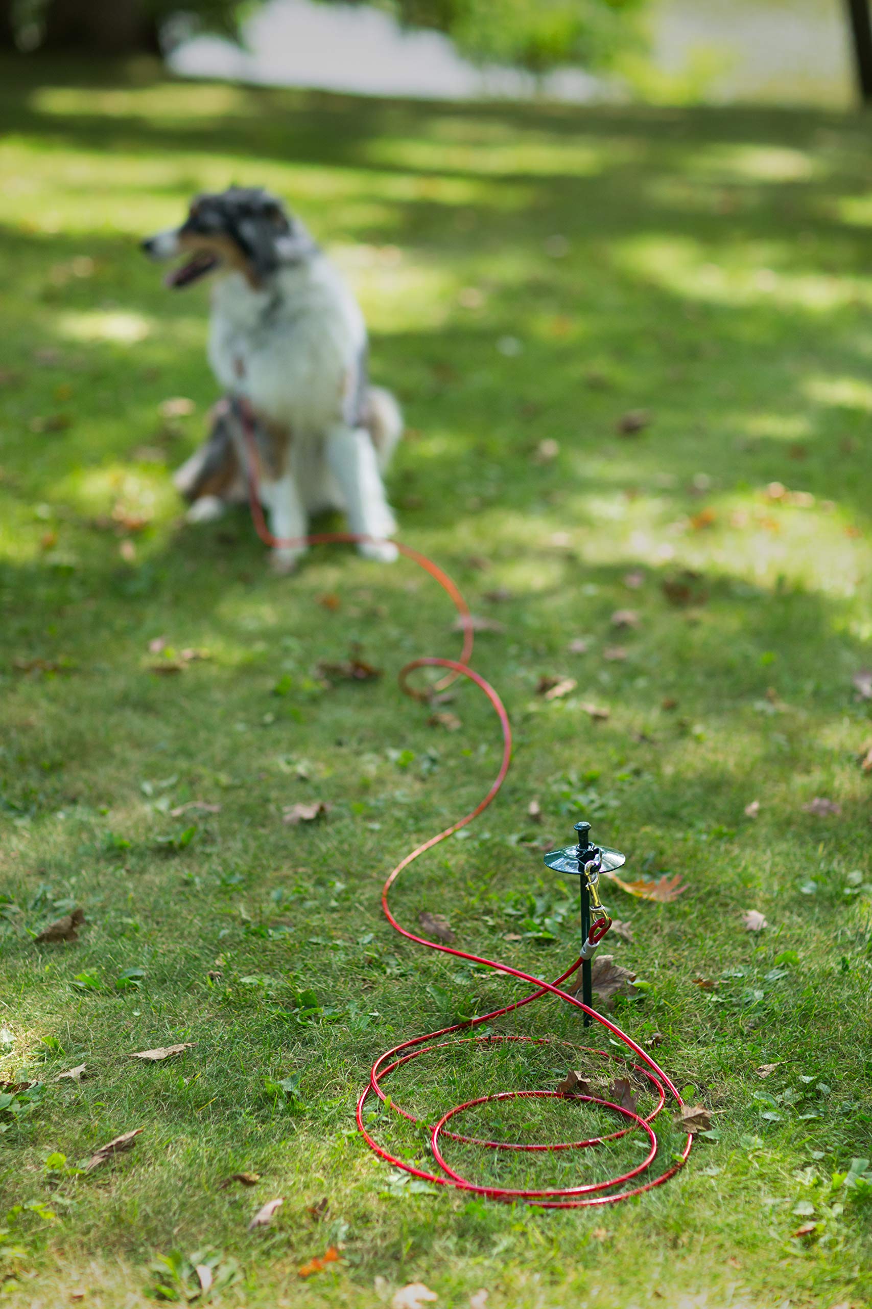 Prevue Pet Products 2122 Heavy-Duty 20' Tie-Out Cable