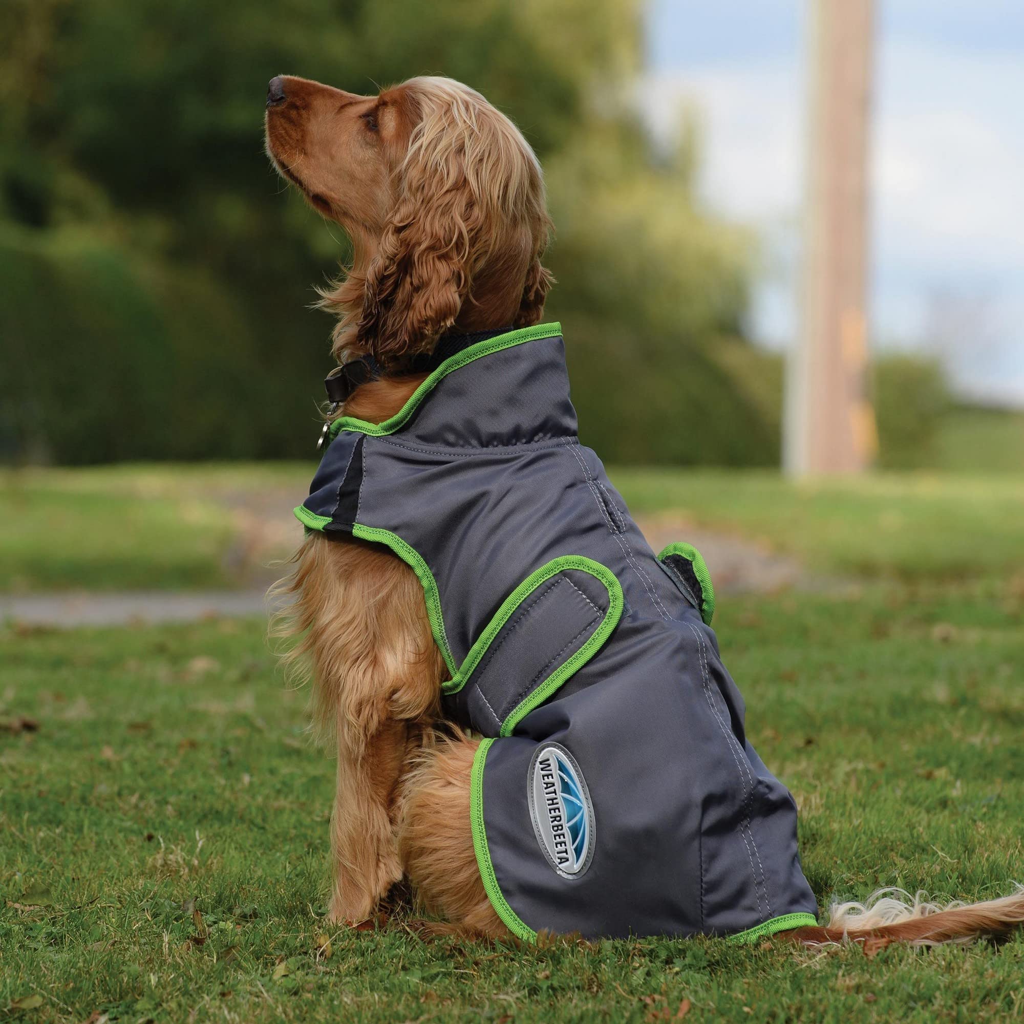 Weatherbeeta Comfitec Windbreaker Free Deluxe Dog Coat, Dark Blue/Grey/White, 16'
