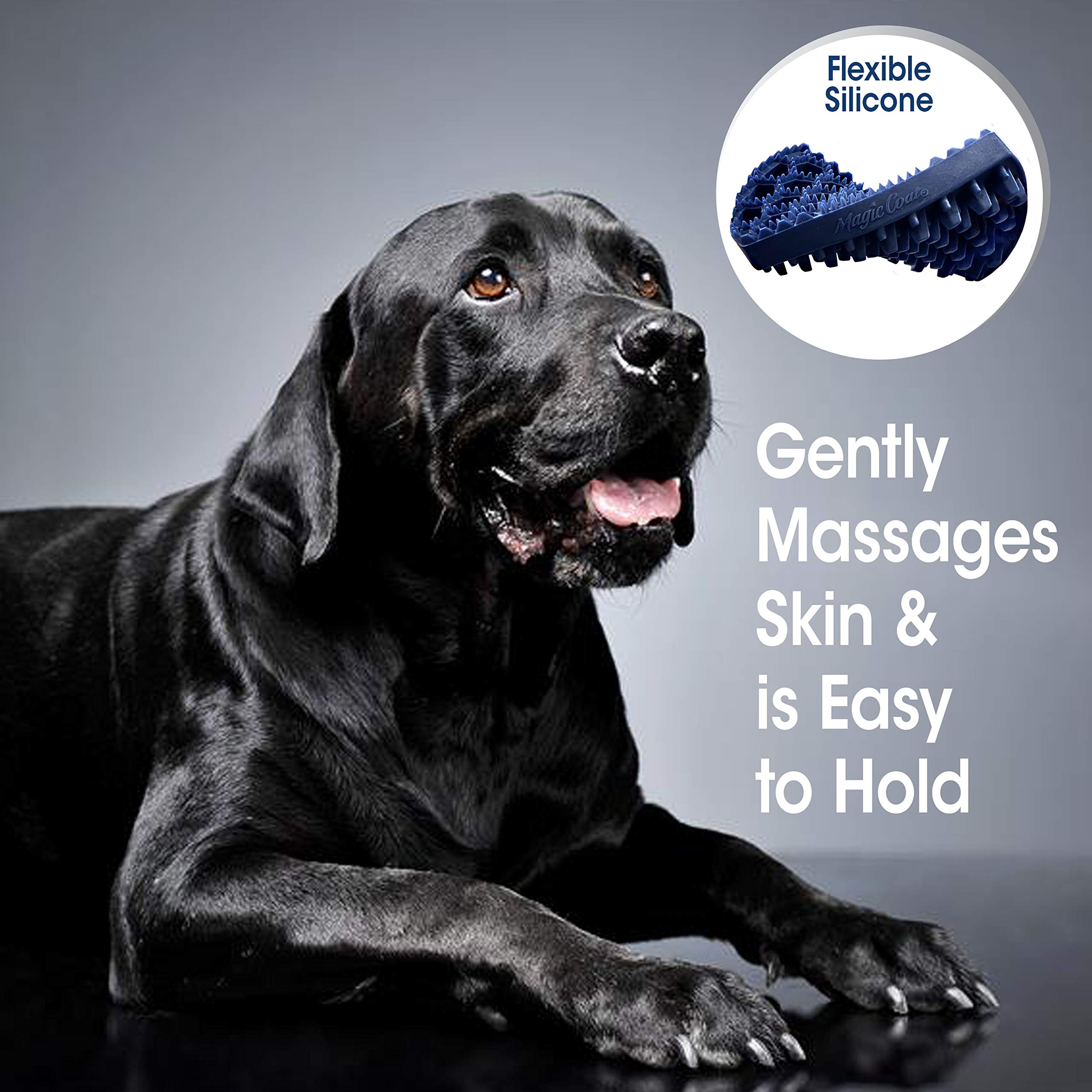 Four Paws Magic Coat Professional Series Grooming Brush For Dogs & Cats, Dual-Sided Curry Brush, Helps Control Odors, Stimulates Coat'S Natural Oils, Ideal For Short, Curly, Wiry Coats