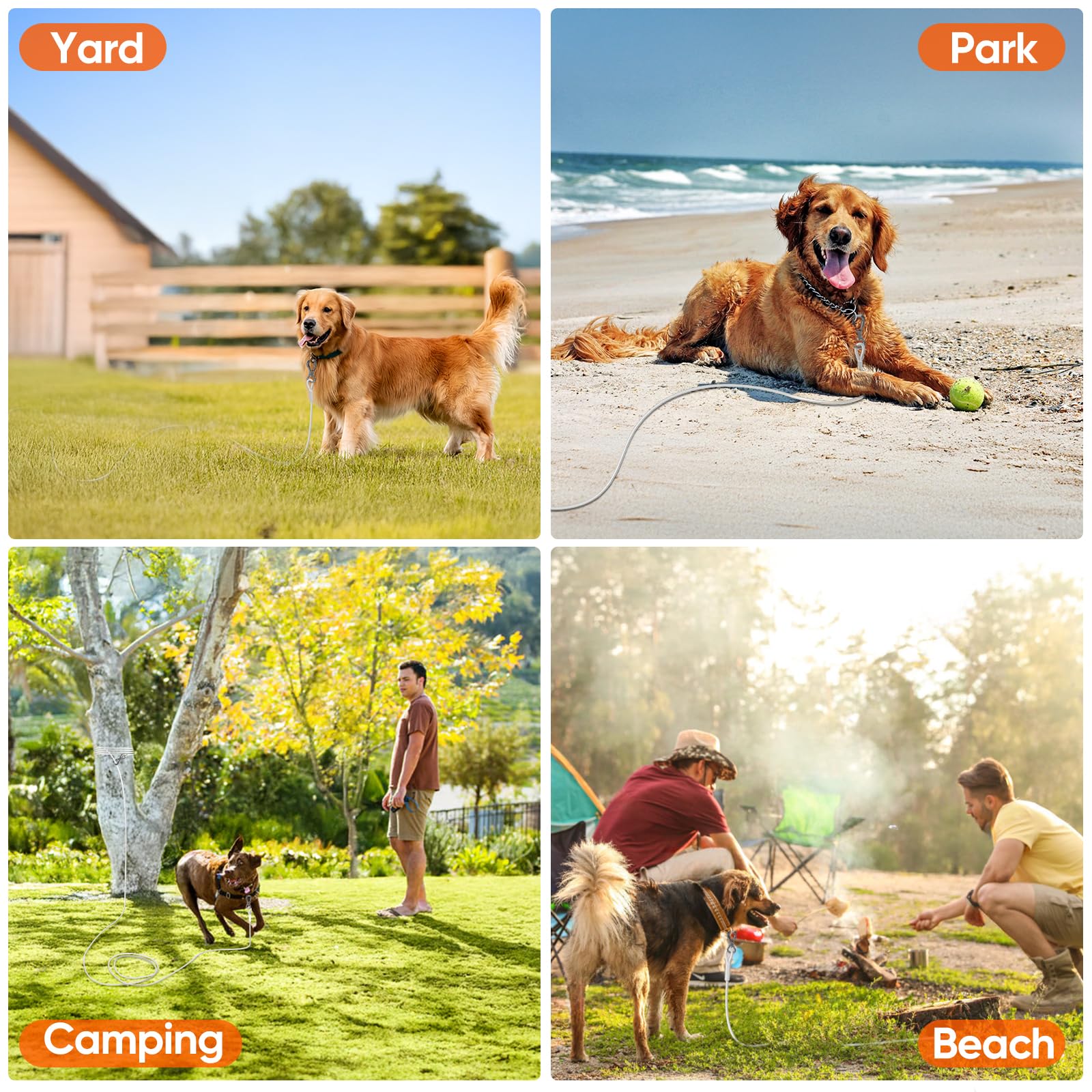 Tresbro 100Ft Reflective Tie Out Cable For Dogs Up To 250 Pounds, Steel Wire Lead Leash Cable With Stainless Dual Fix Buckle, Li