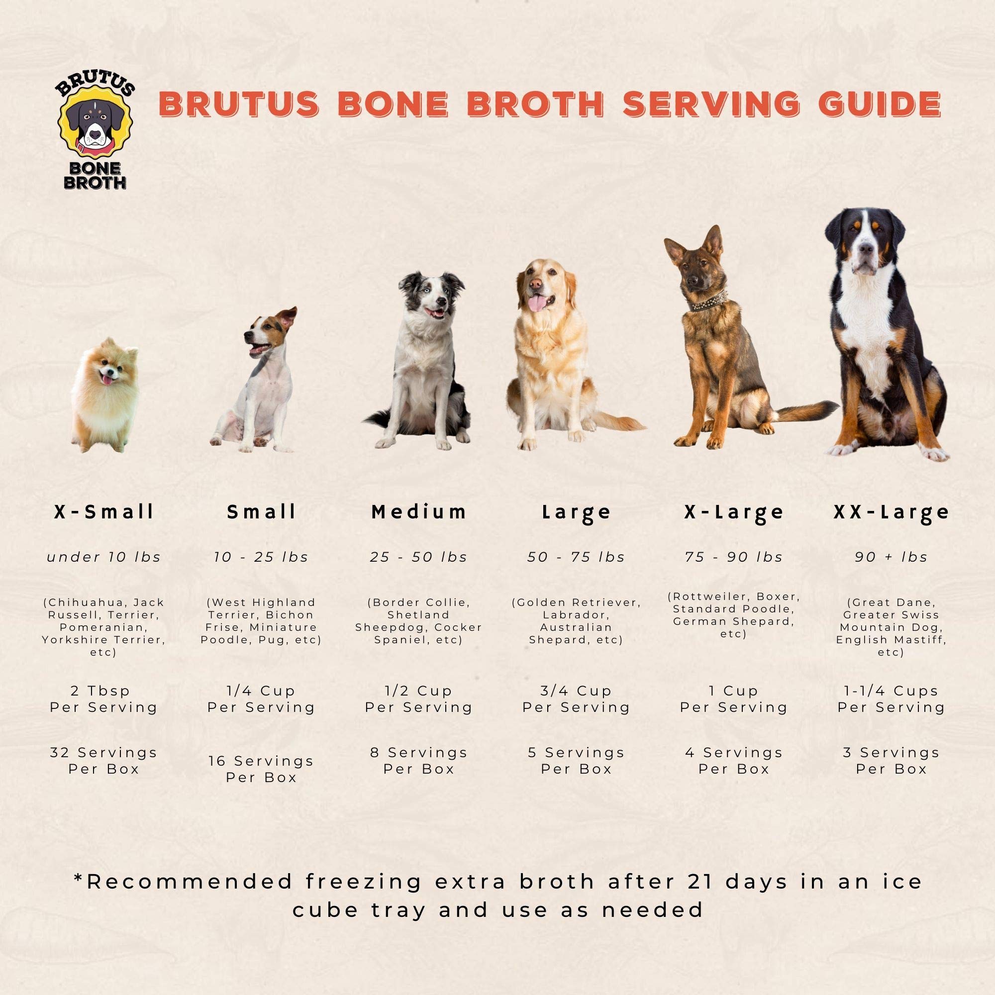 Brutus Beef Bone Broth for Dogs and Cats - All Natural Bone Broth with Chondroitin Glucosamine & Turmeric, Human Grade Food Topp