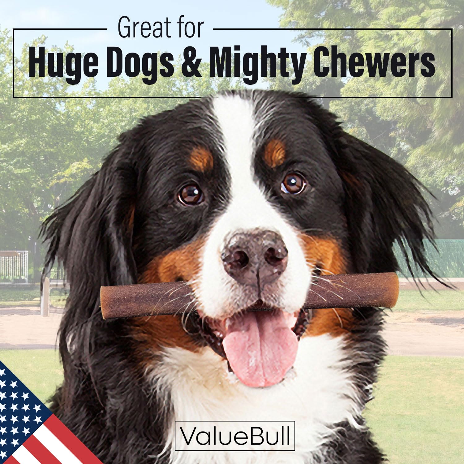 ValueBull USA Collagen Sticks for Dogs, 6 Inch Super Jumbo Chews, Natural Long-Lasting Dog Treats, 50 Count - Promotes Joint, Sk
