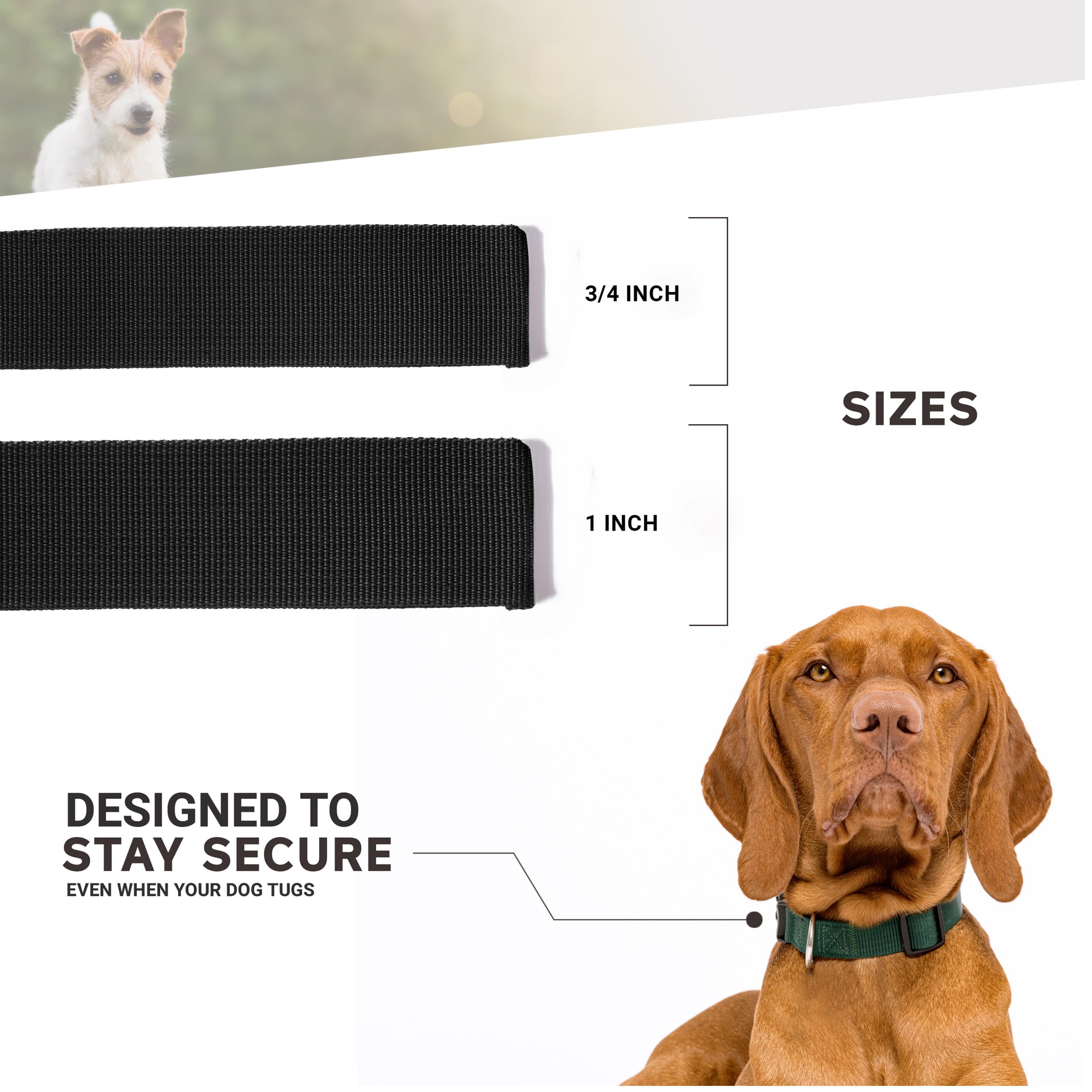 Moose Pet Wear Dog Collar – Washington State University Cougars Adjustable Pet Collars, 1 Inch Wide, Medium, Red/Gray Box Logo