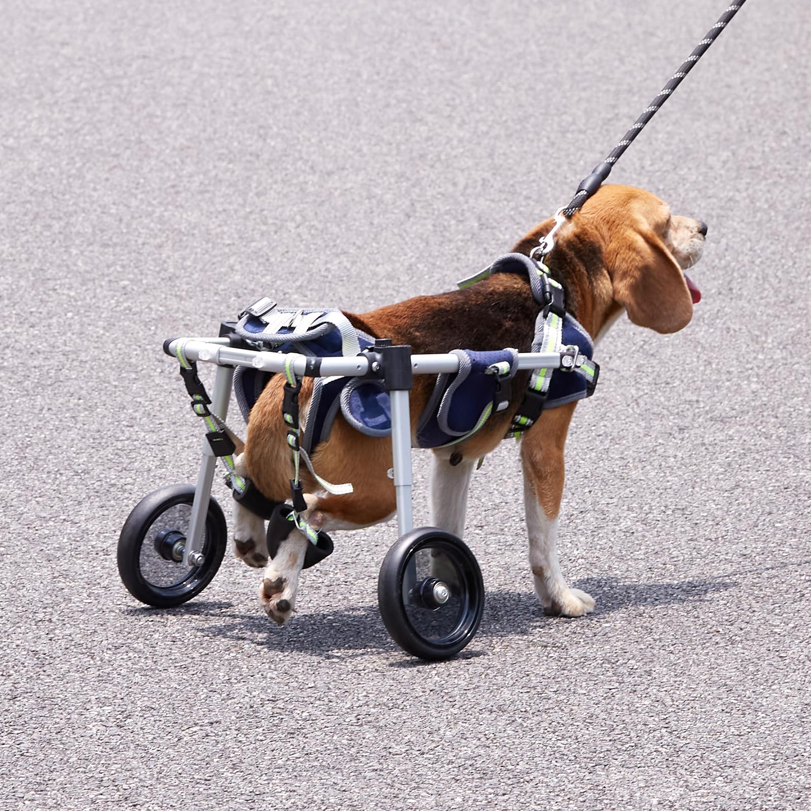 VEVOR 2 Wheels Dog Wheelchair for Back Legs, Pet Wheelchair Lightweight & Adjustable Assisting in Healing, Dog Cart/Wheelchair f