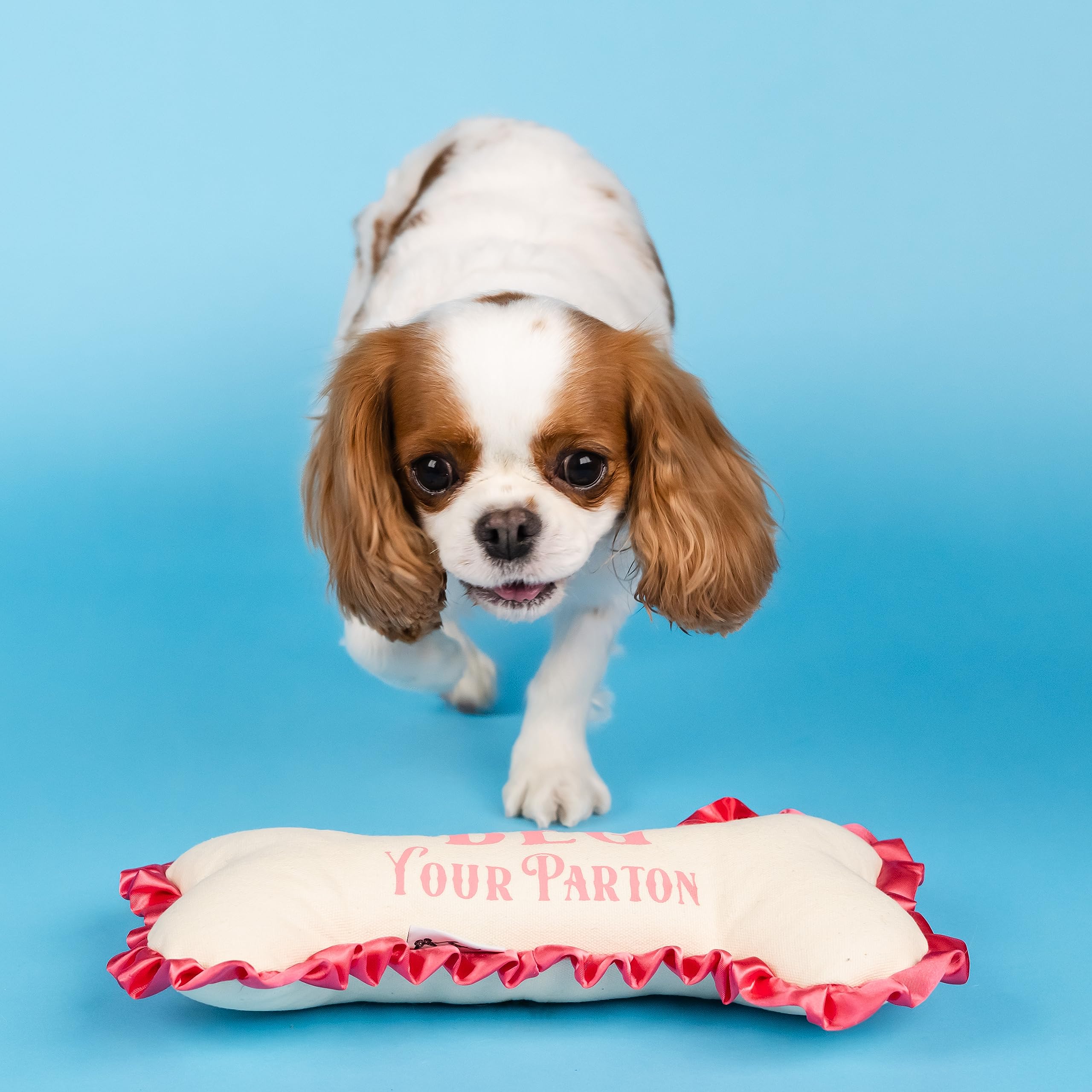 Doggy Parton Plush Dog Toys Collection - Beg Your Parton Bone