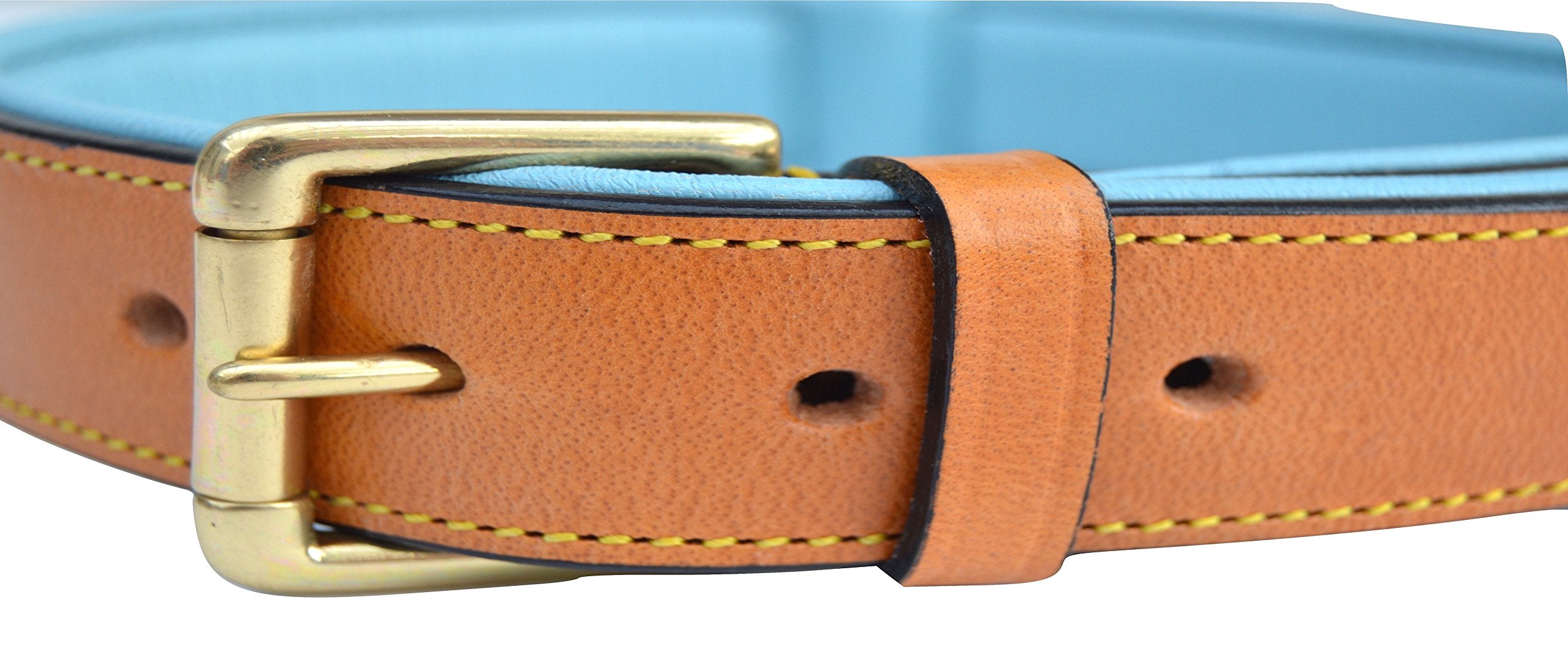 Soft Touch Collars Padded Leather Dog Collar, Medium, 20" Long, Tan/Teal, Neck Size 14.5" to 17.5"