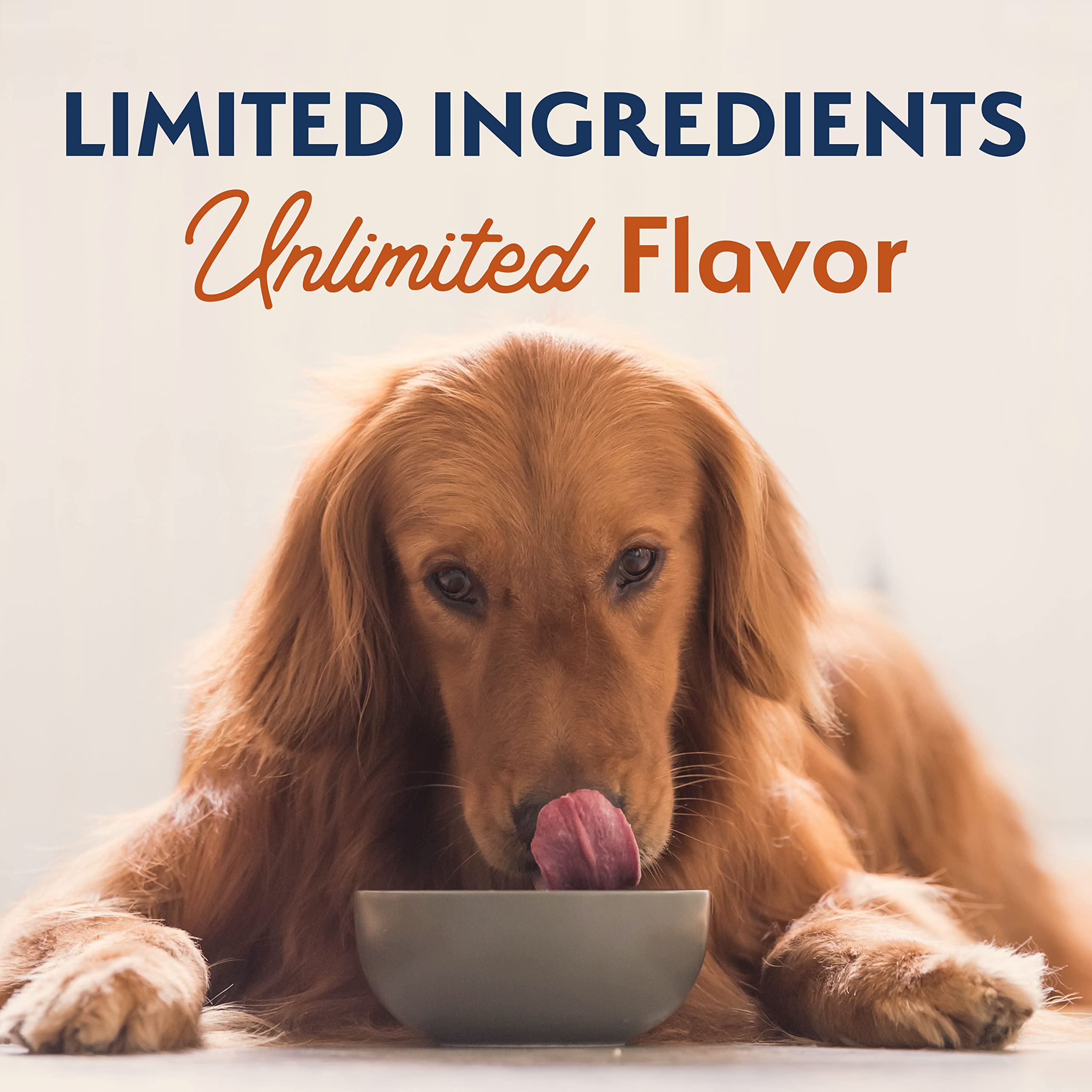 Natural Balance Limited Ingredient Adult Dry Dog Food with Healthy Grains, Reserve Duck & Brown Rice Recipe, 12 Pound (Pack of 1