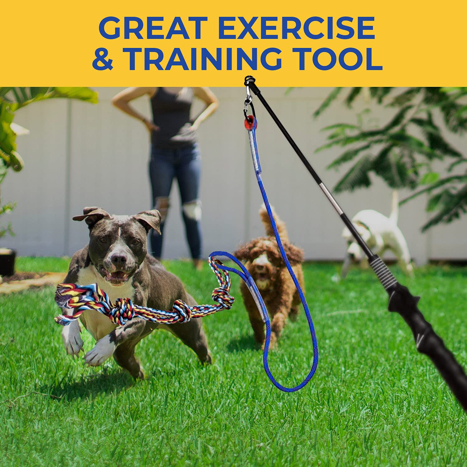 CHEERING PET Flirt Pole for Dogs, Teaser Wand with Colorful Braided Rope Tether, Exercise Fun for Dogs, Durable Interactive Dog