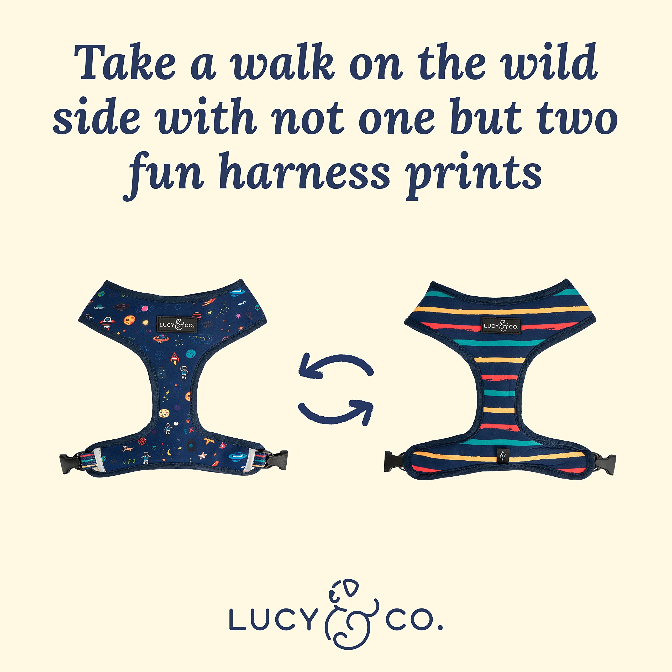 Cute Reversible Dog Harness Walking Halter - Best Designer Pet Harnesses For Medium Dogs - Padded Adjustable Vest For Easy Walking (X-Small, Space Doodle)