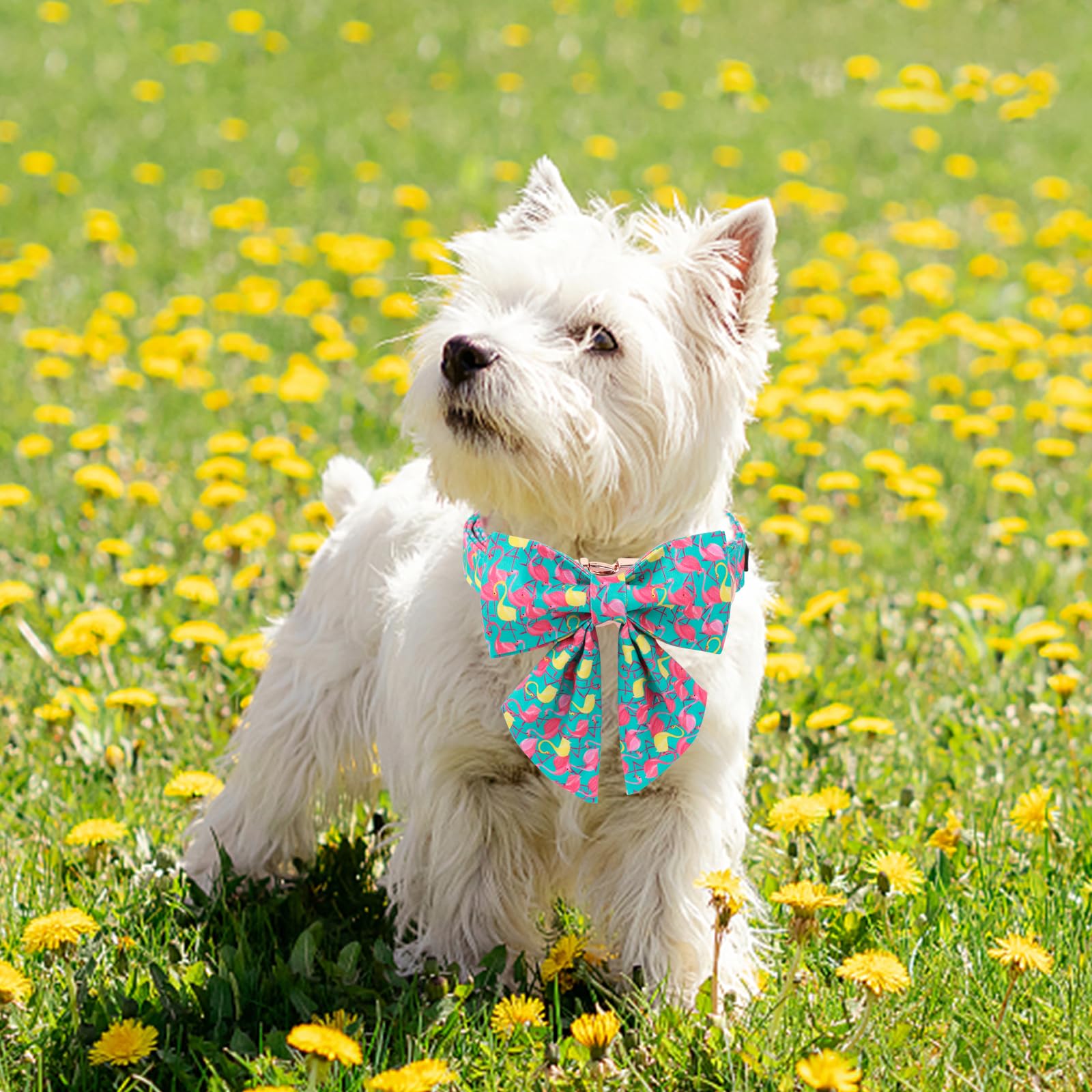 Unique Style Paws Dog Collar With Bowtie, Cute Flamingo Dog Collars Adjustable Puppy Collar For Small,Medium,Large Dogs