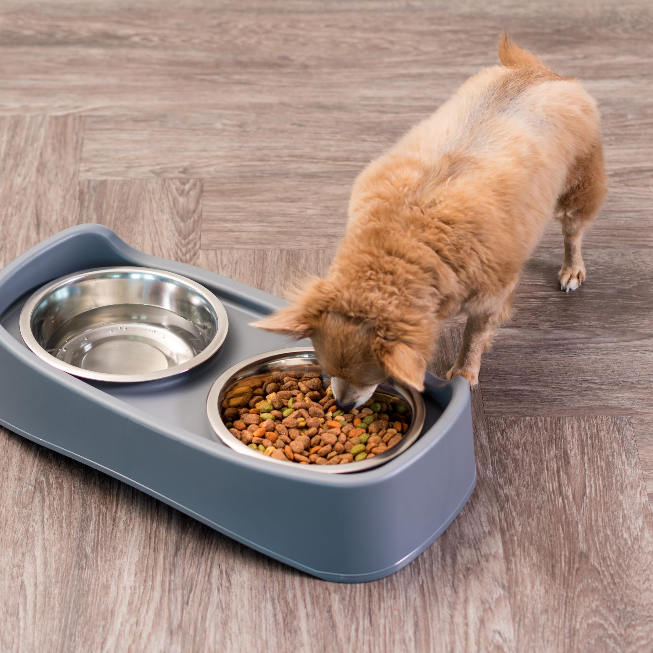 IRIS USA Elevated Dog Bowls, Adjustable Height, 2 Thick 64 oz Stainless Steel Bowls, Spill-Proof with Raised Outer Rim, Durable