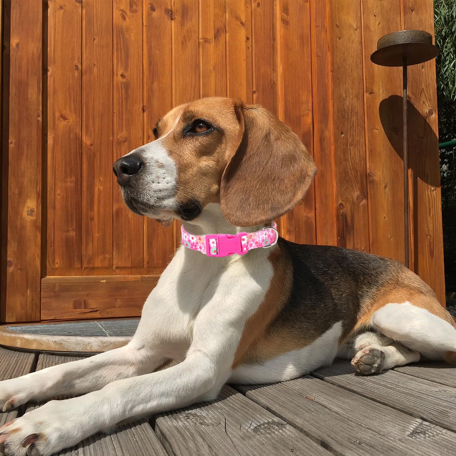 Pink Dog Collar For Medium Dogs With Flowers For Girl Dogs, Soft Nylon Adjustable Cute Female Dog Collars(Pink M)