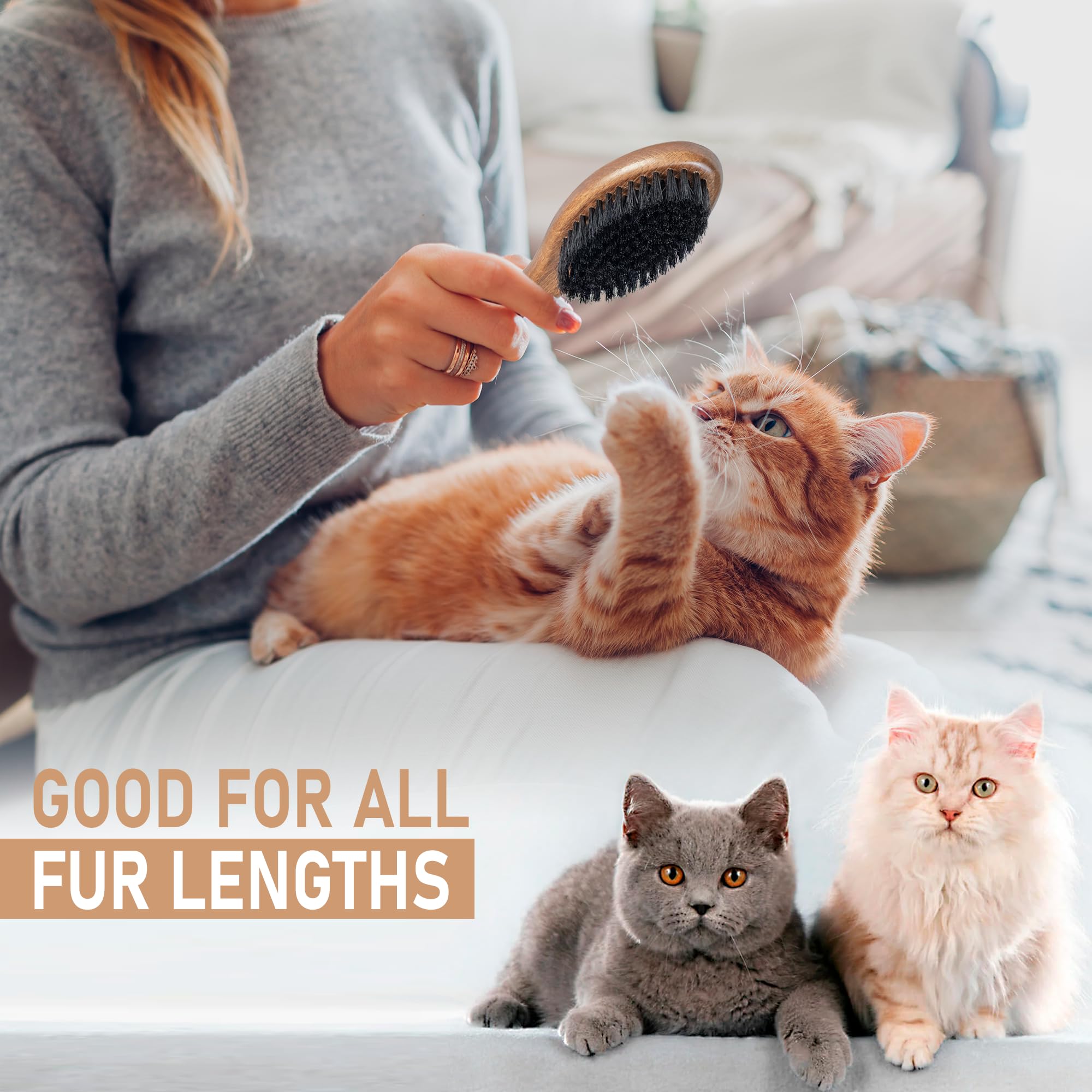 Takavu Boar Bristle Cat Hair Brush, Gentle Grooming Brush With Natural Bristles And Wooden Handle For Sensitive Skin, Pet Cleani