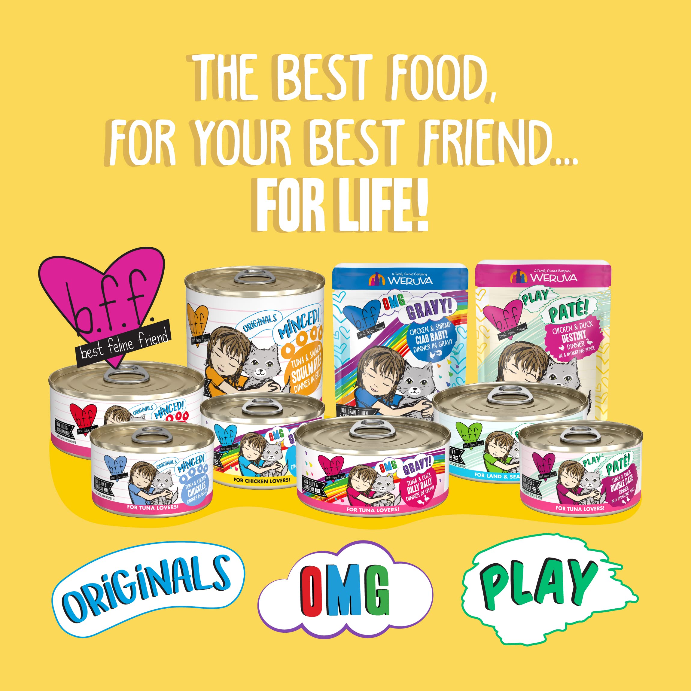 Weruva B.F.F. OMG - Best Feline Friend Oh My Gravy!, Chicken & Salmon Stir It Up with Chicken & Salmon in Gravy, 5.5oz Can (Pack