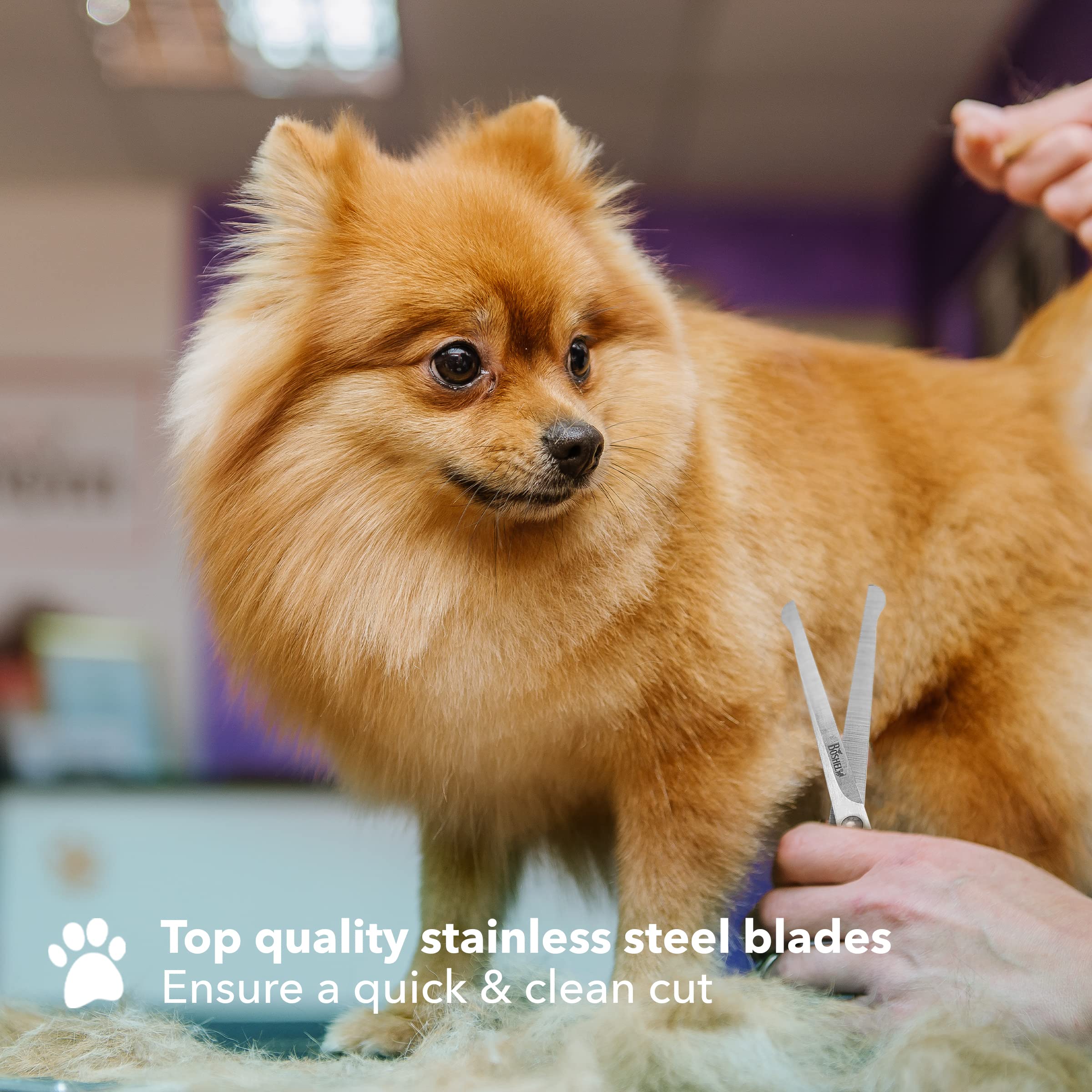 Boshel 2 Pc Dog Grooming Kit - Dog Grooming Scissors With Round Tips - 6' Micro Serrated Puppy Trimming Scissor For Face, Ear, Nose & Paw + 7' Pet Grooming Shear Cutting More Hair - Dog Scissors Set