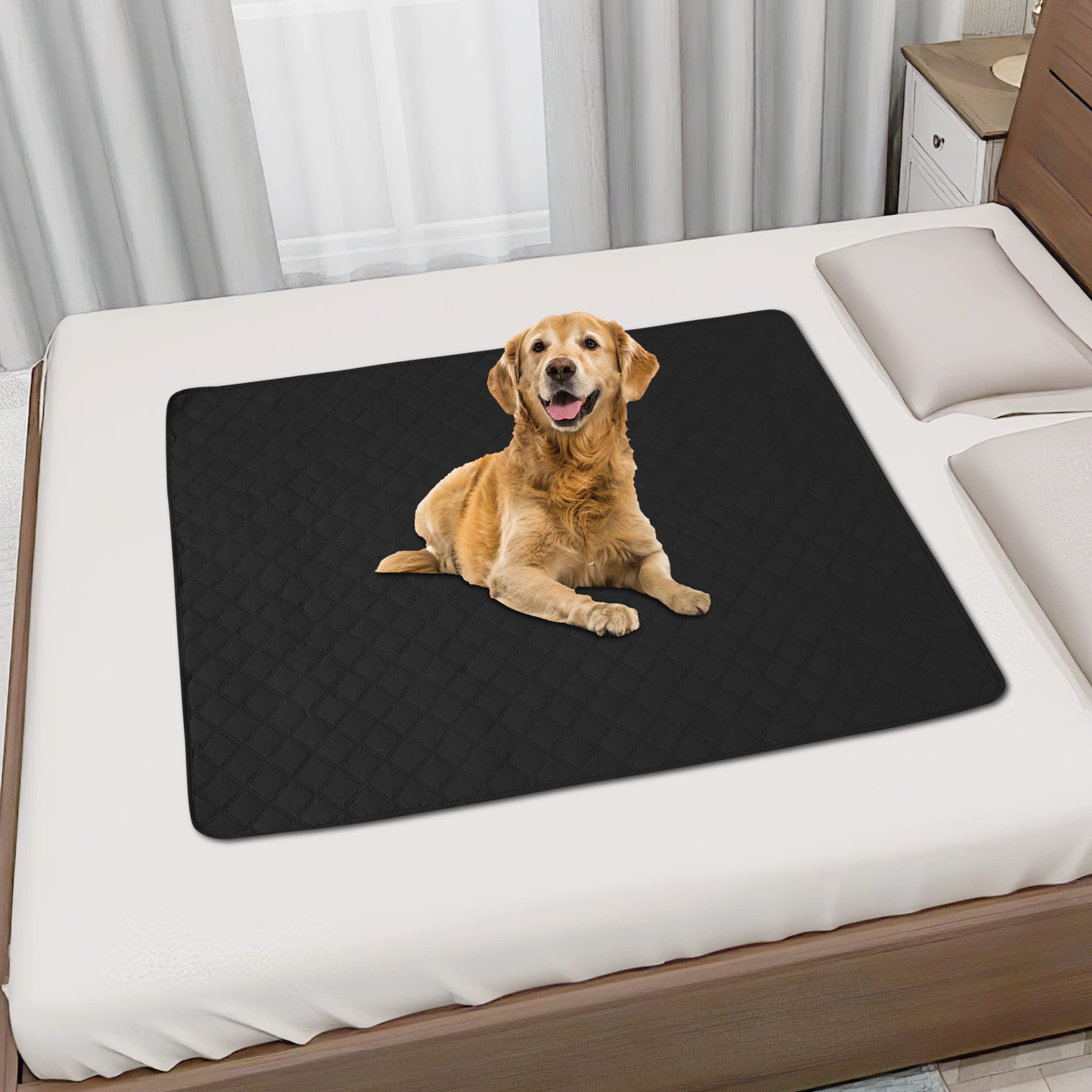 Easy-Going 100% Waterproof Dog Bed Cover, Non-Slip Pet Blanket for Furniture, Washable Couch Cover, Repleasement Sofa Cover (30X