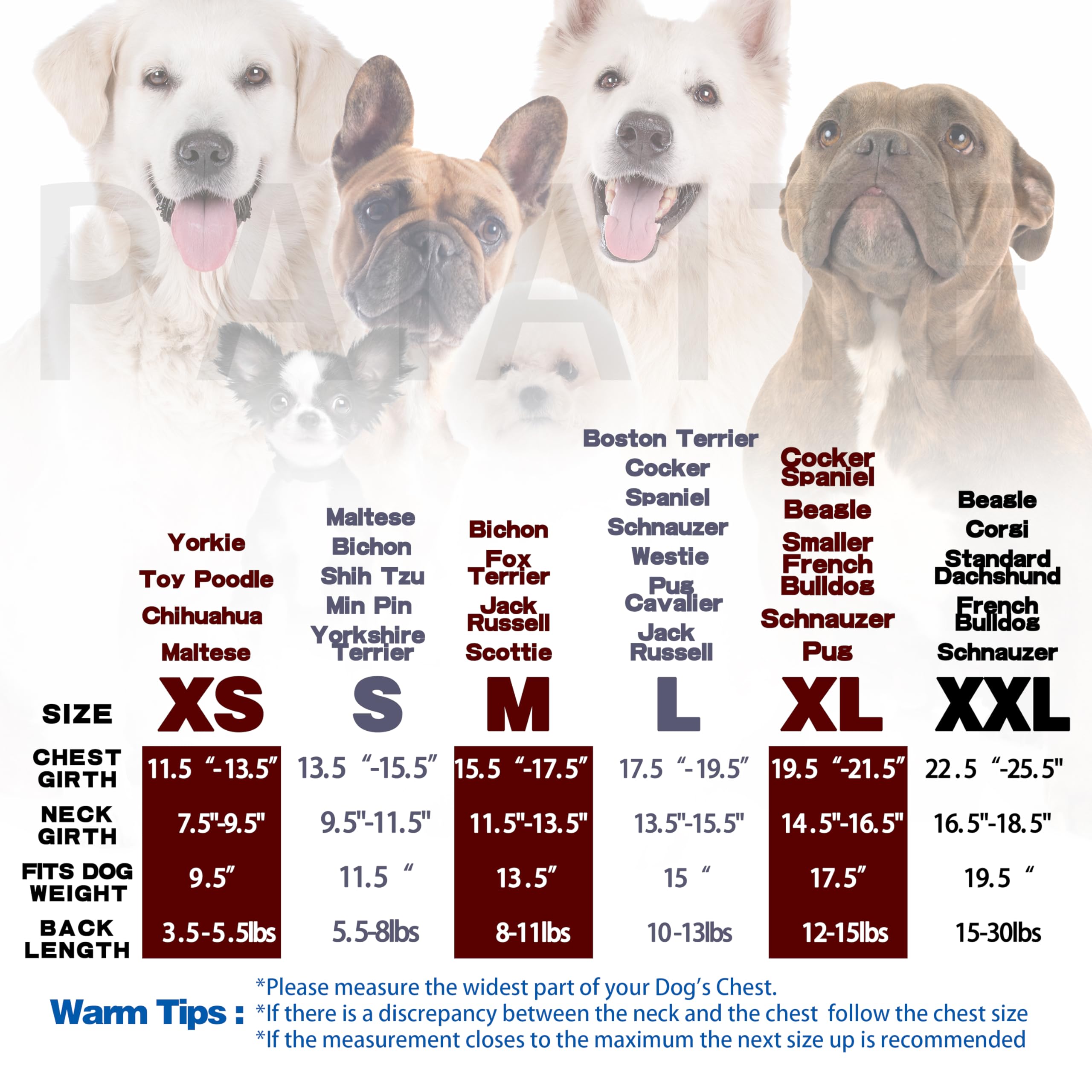 Cozy Polycotton Canine Dog Hoodie: Soft, Lightweight Vest for Small and Medium Dogs, Featuring a Heartfelt 'I Only Love My Bed,